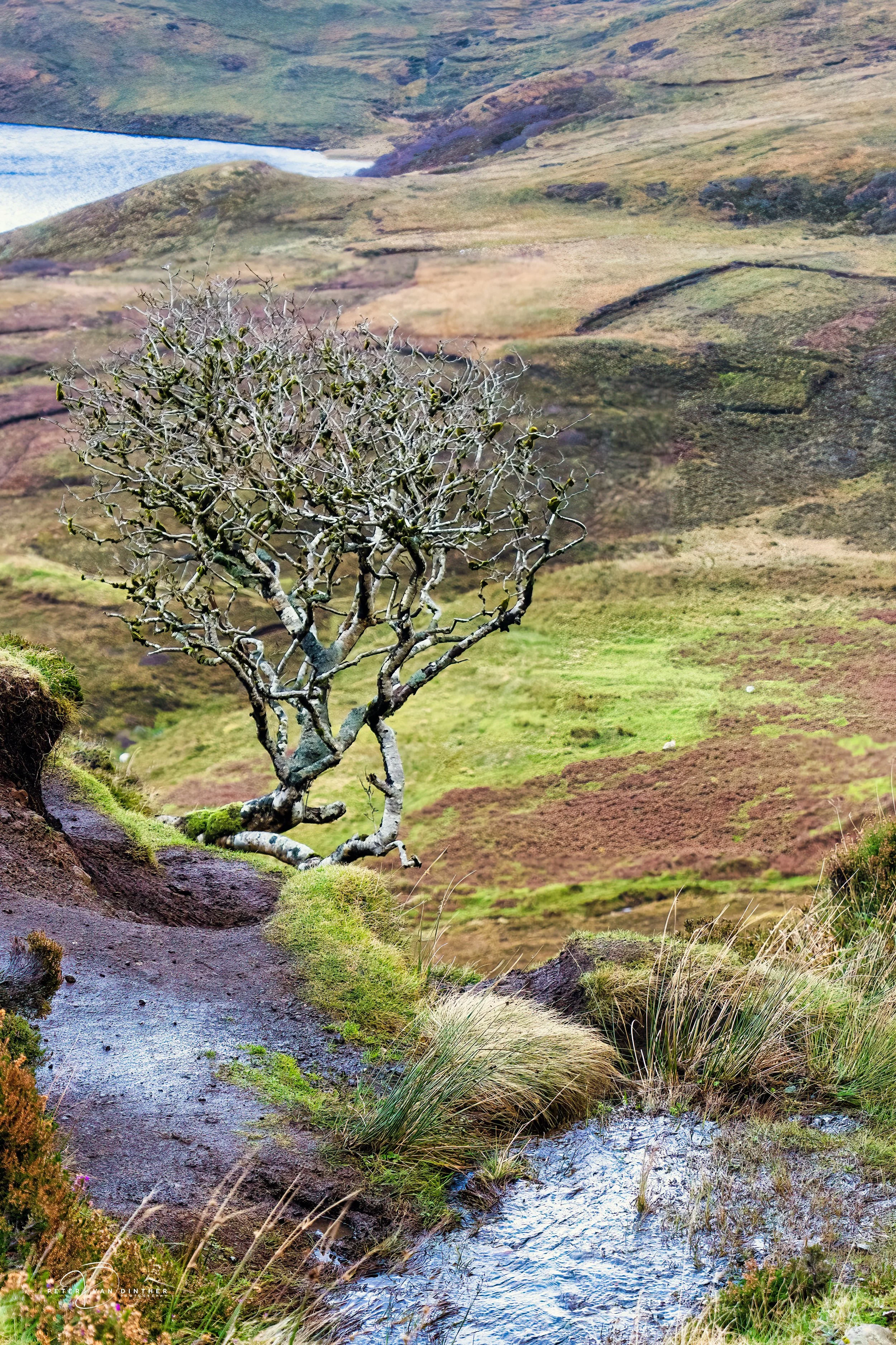 Scotland 2026 Squarespace2.jpg