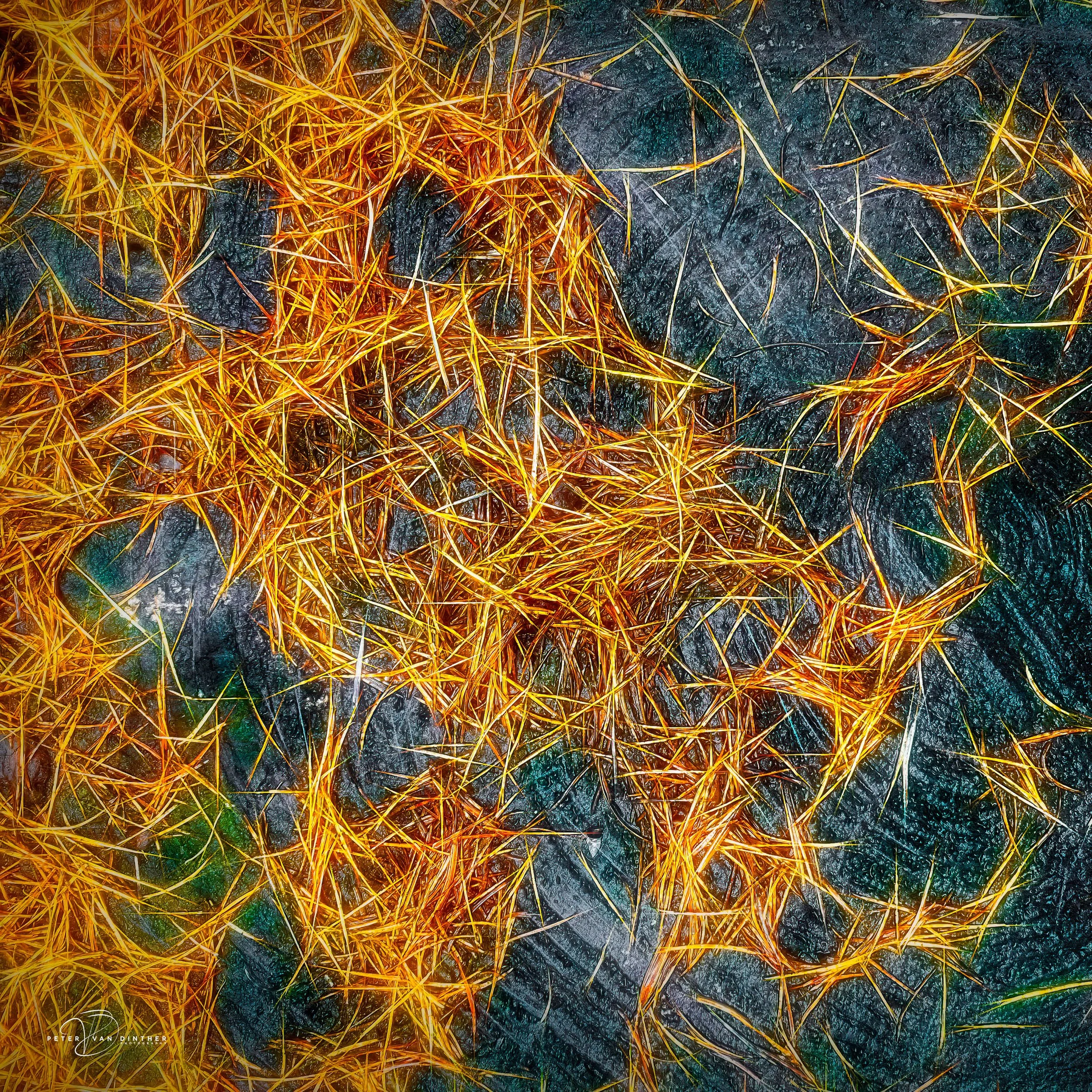 Abstracts Squarespace4.jpg