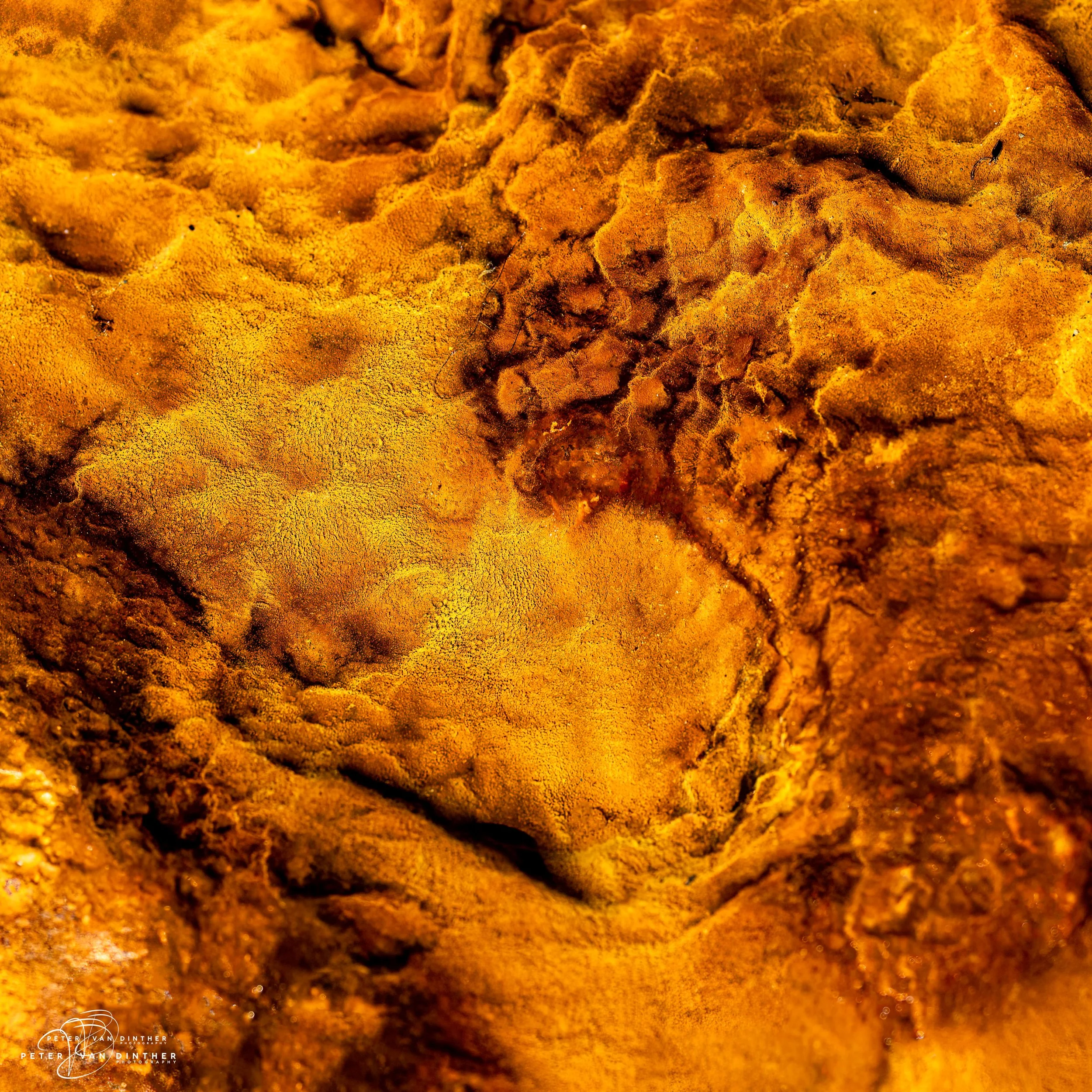 Rio Tinto 2023 Squarespace29.jpg