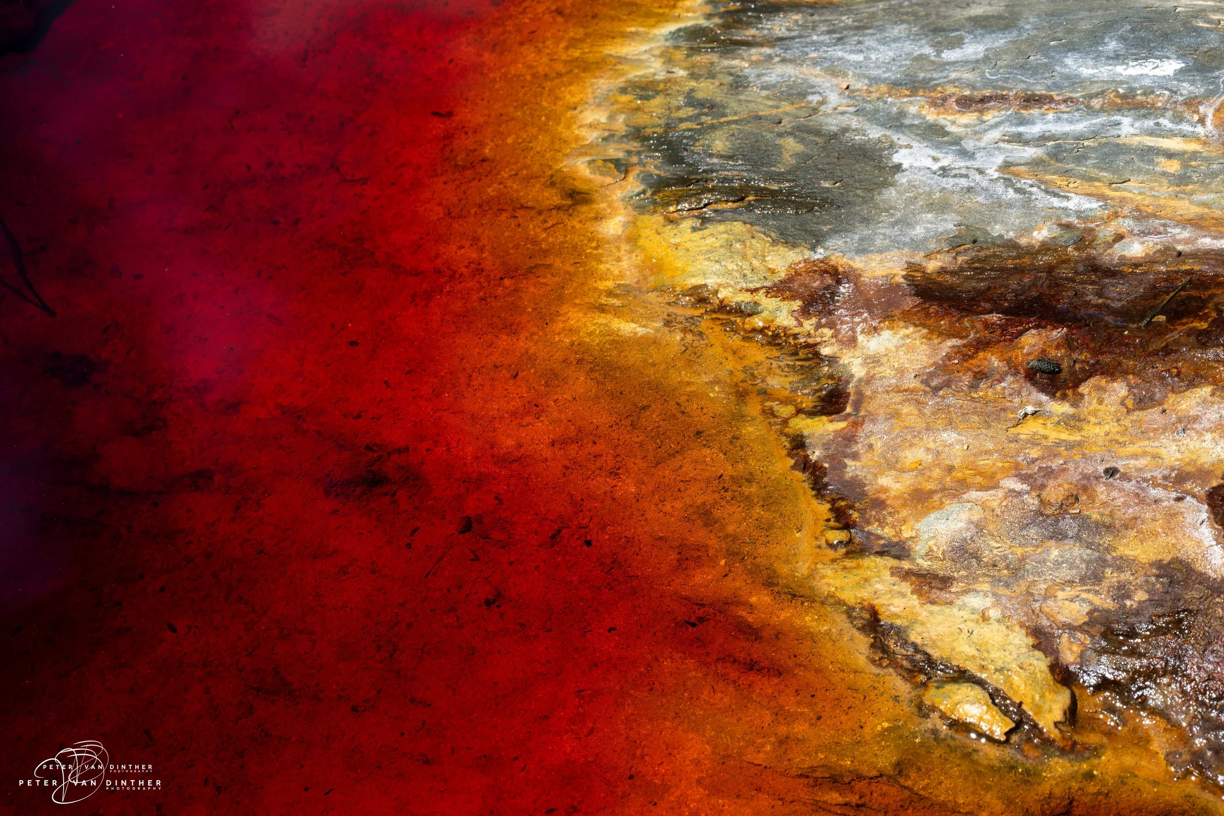 Rio Tinto 2023 Squarespace37.jpg
