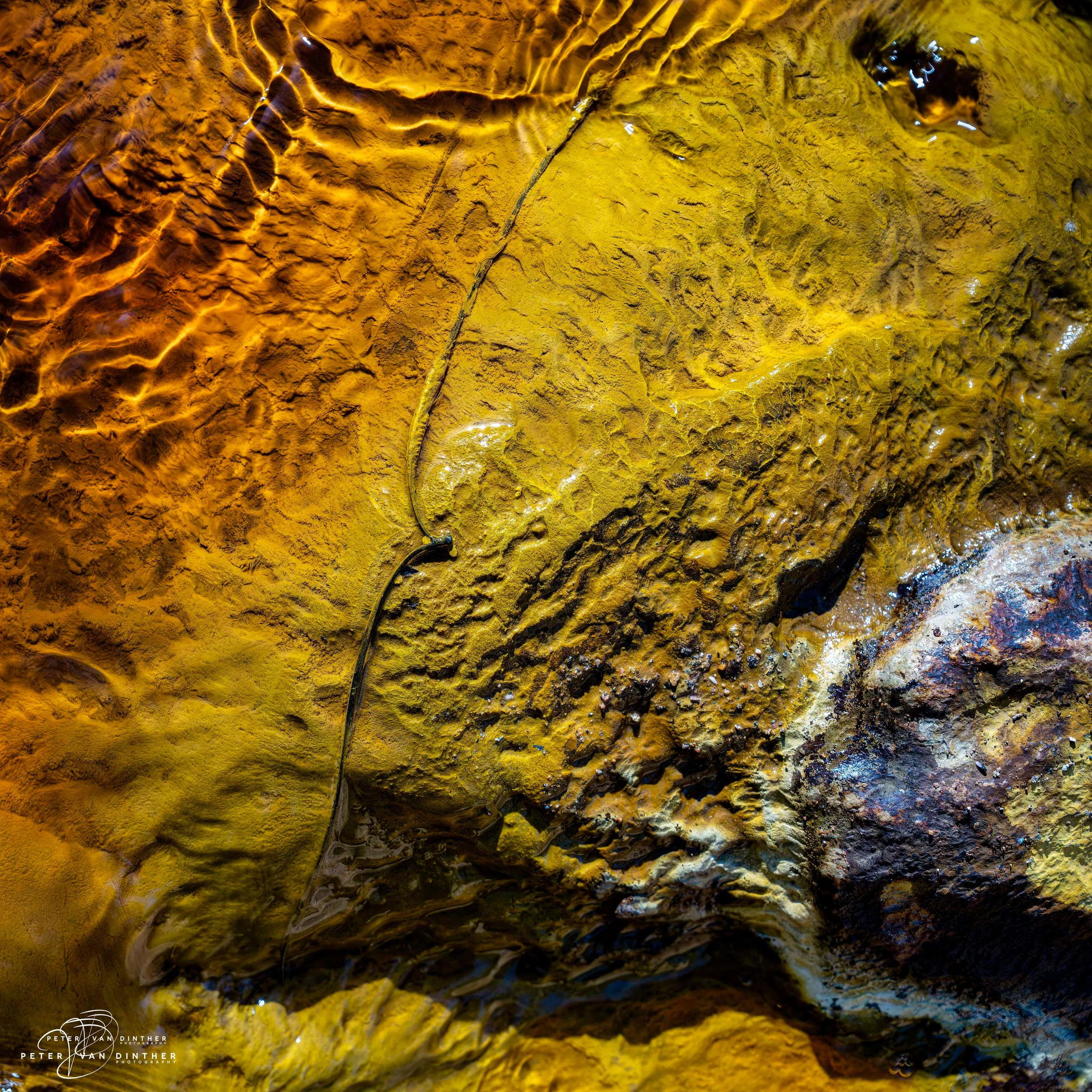 Rio Tinto 2023 Squarespace26.jpg