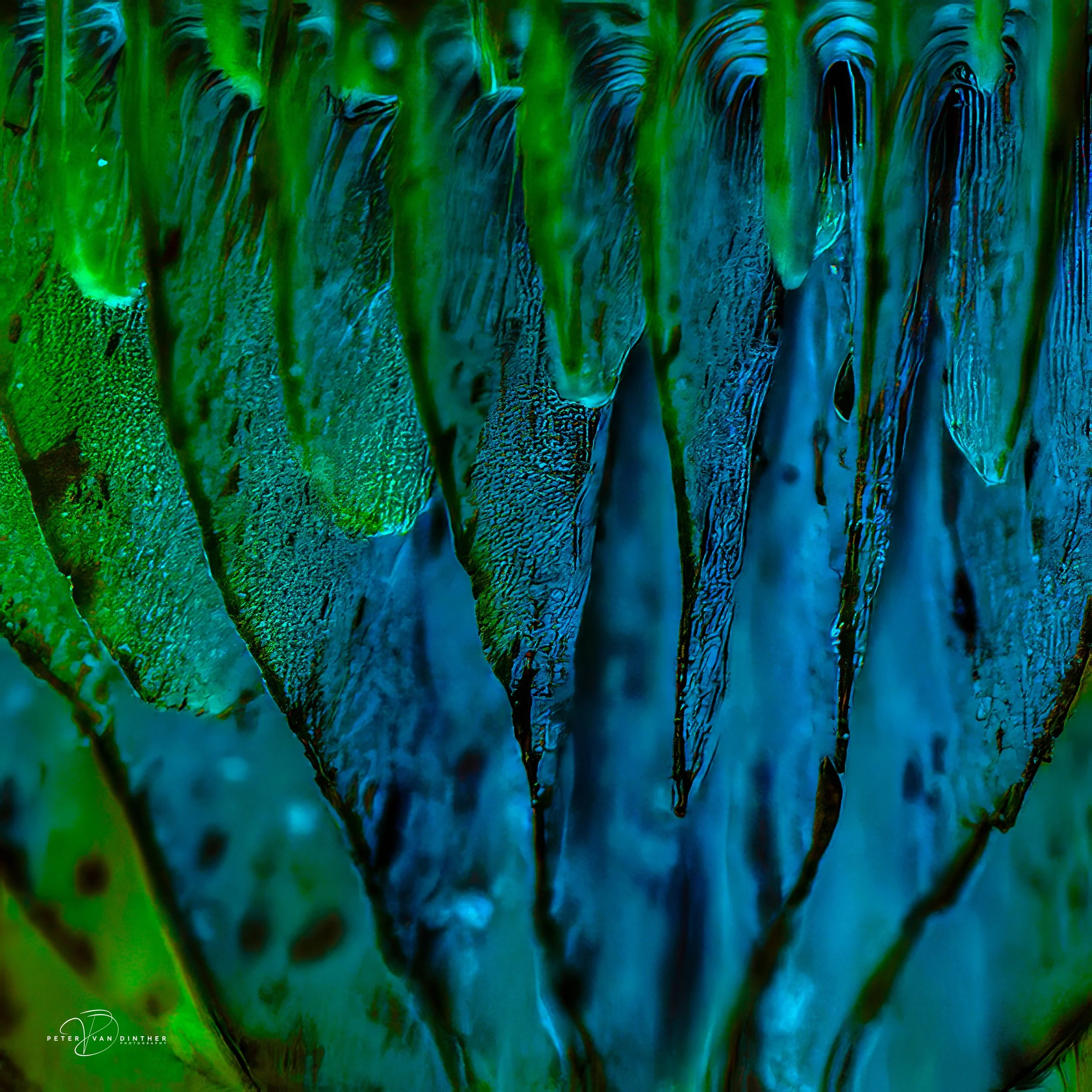 Abstracts Squarespace1.jpg