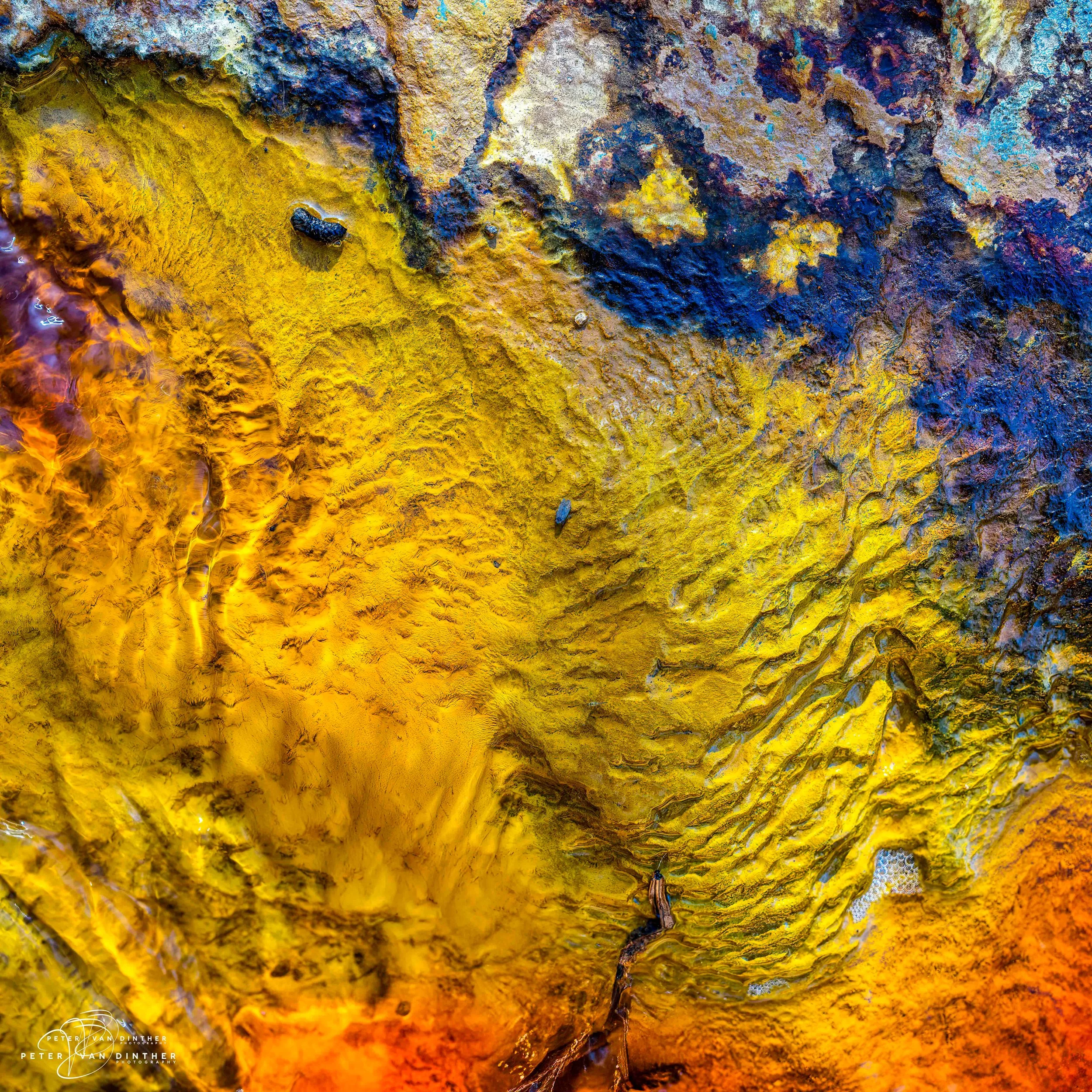 Rio Tinto 2023 Squarespace23.jpg