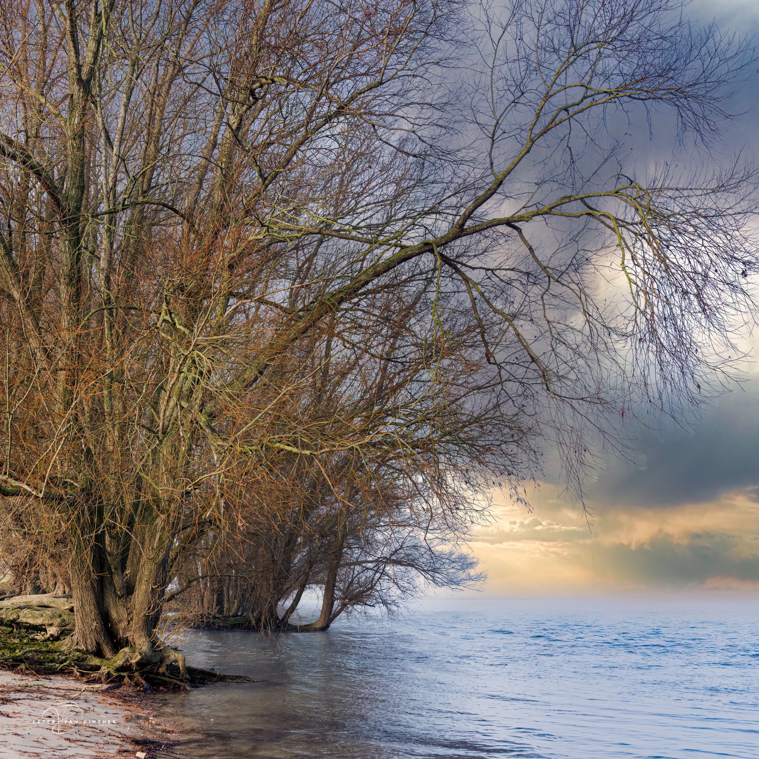 Boomrijke bomen langs de oever van een rivier onder een bewolkte hemel, beschutten het water.