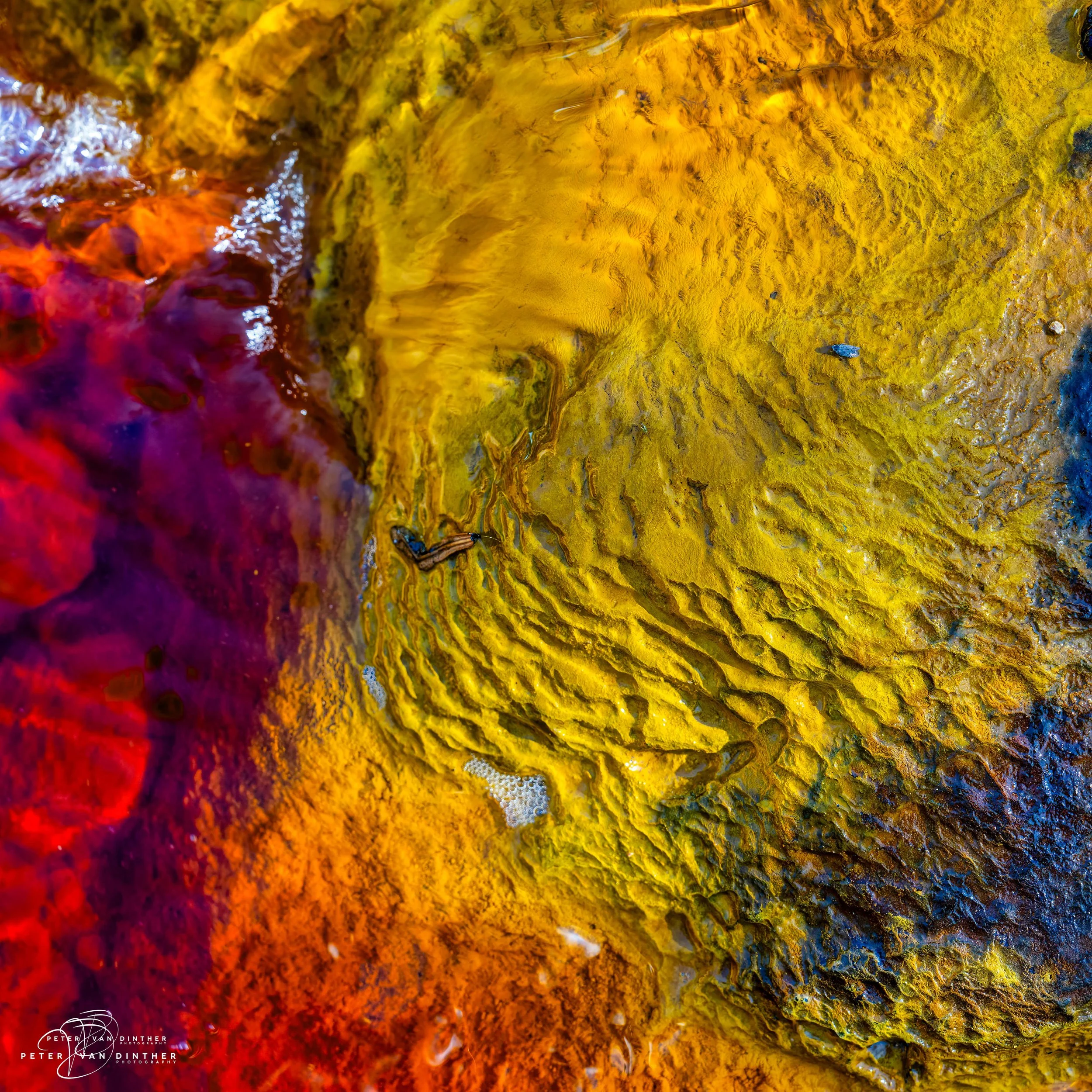 Abstracts Squarespace5.jpg