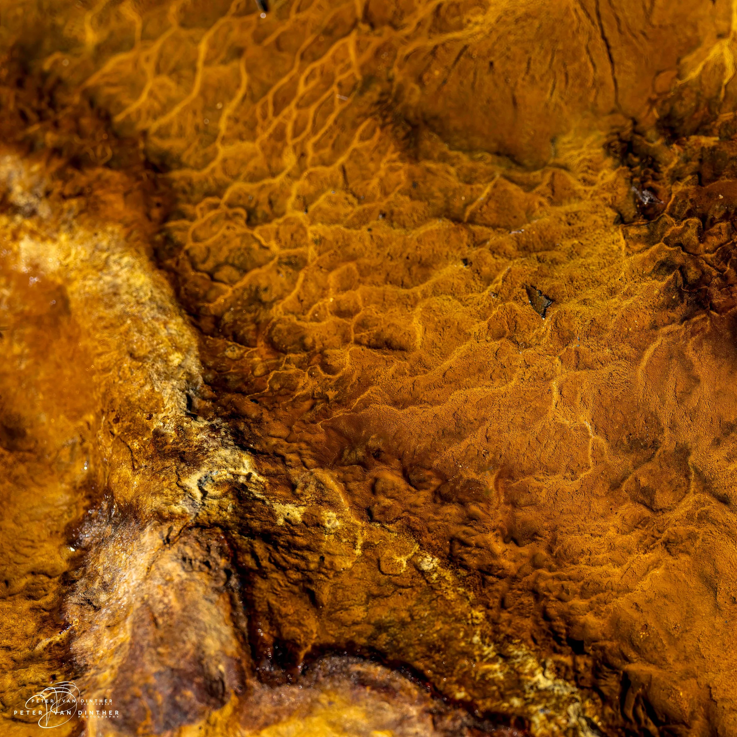 Rio Tinto 2023 Squarespace28.jpg