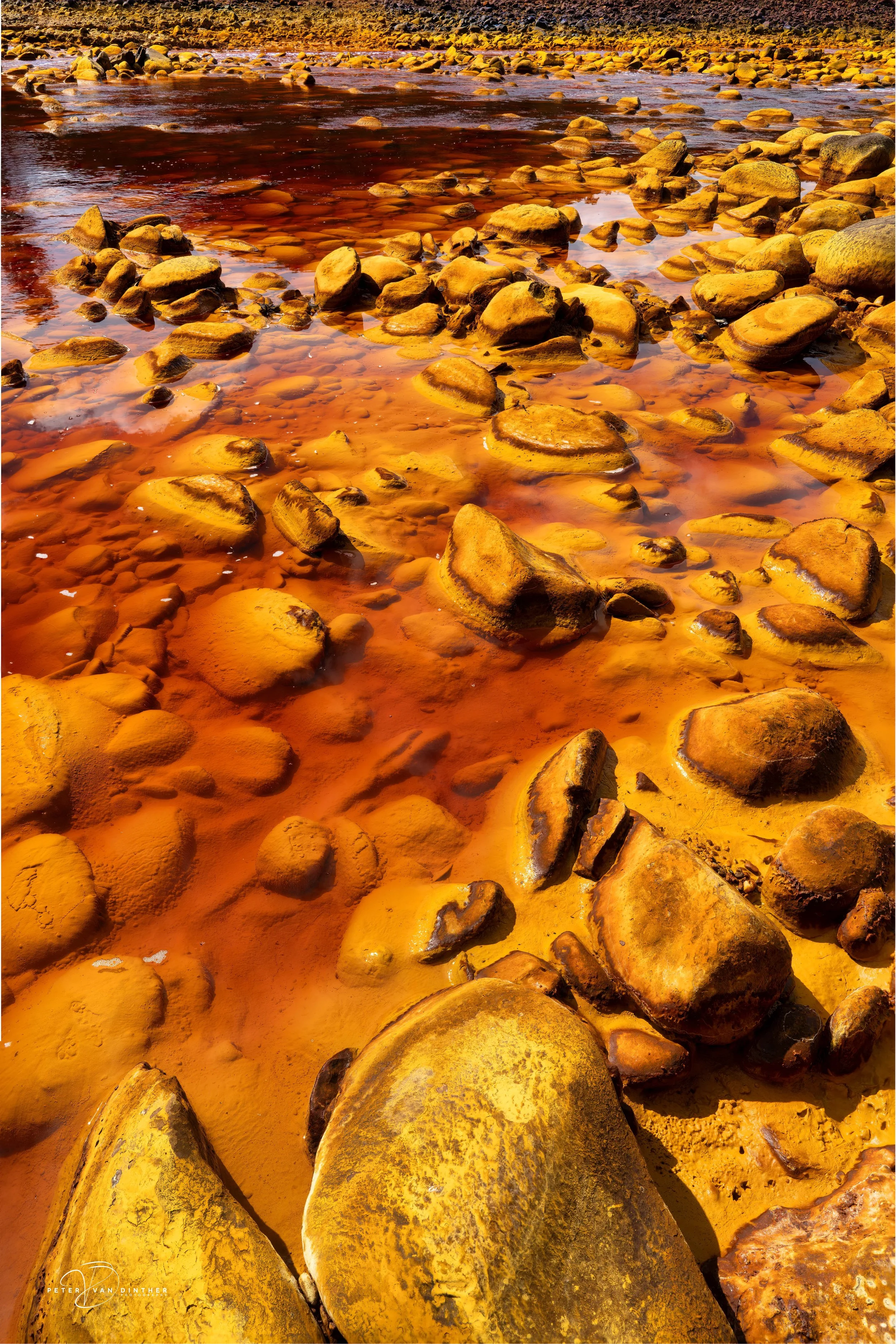 Rio Tinto 2023 Squarespace14.jpg