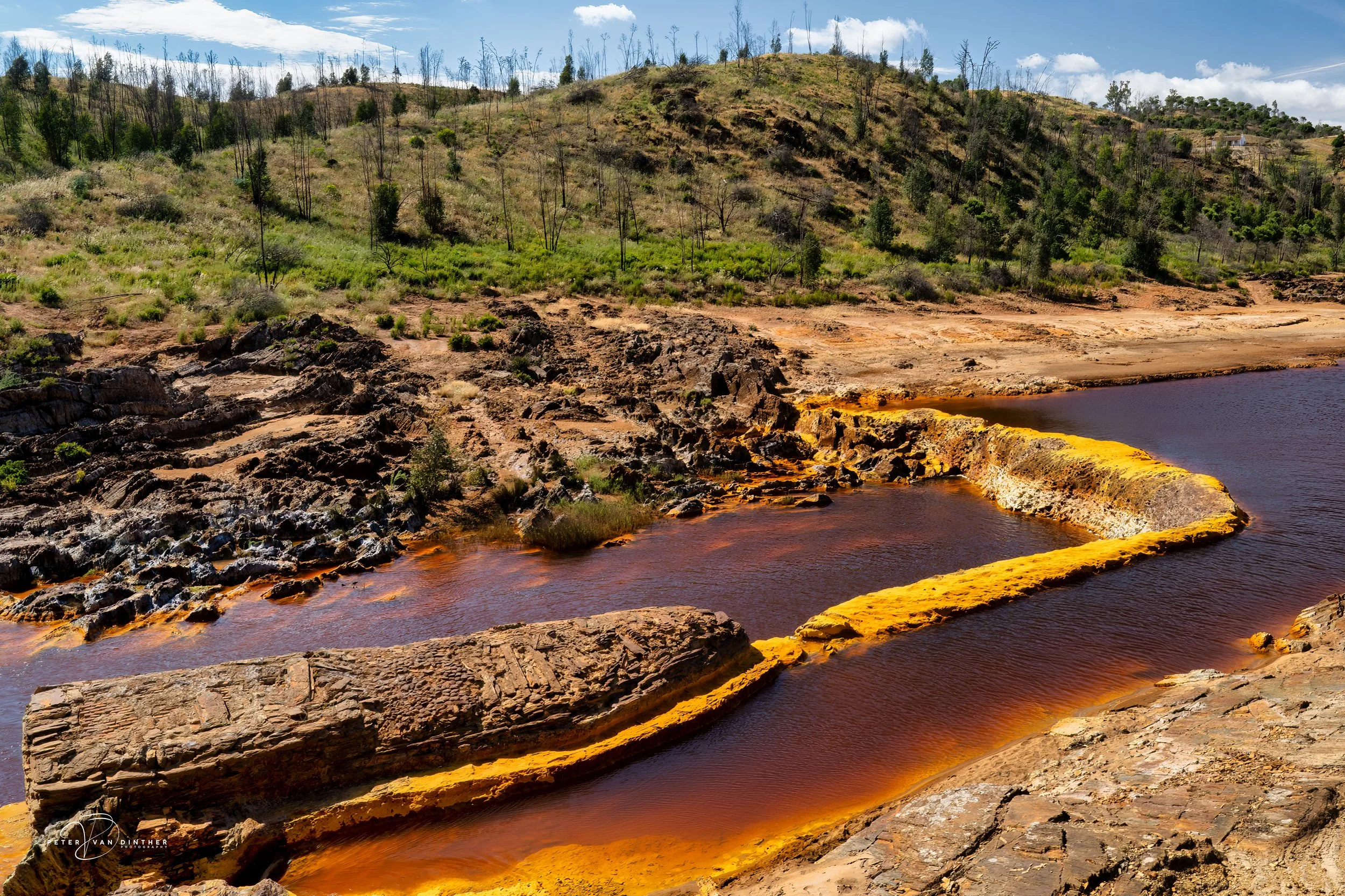 Rio Tinto 2023 Squarespace6.jpg
