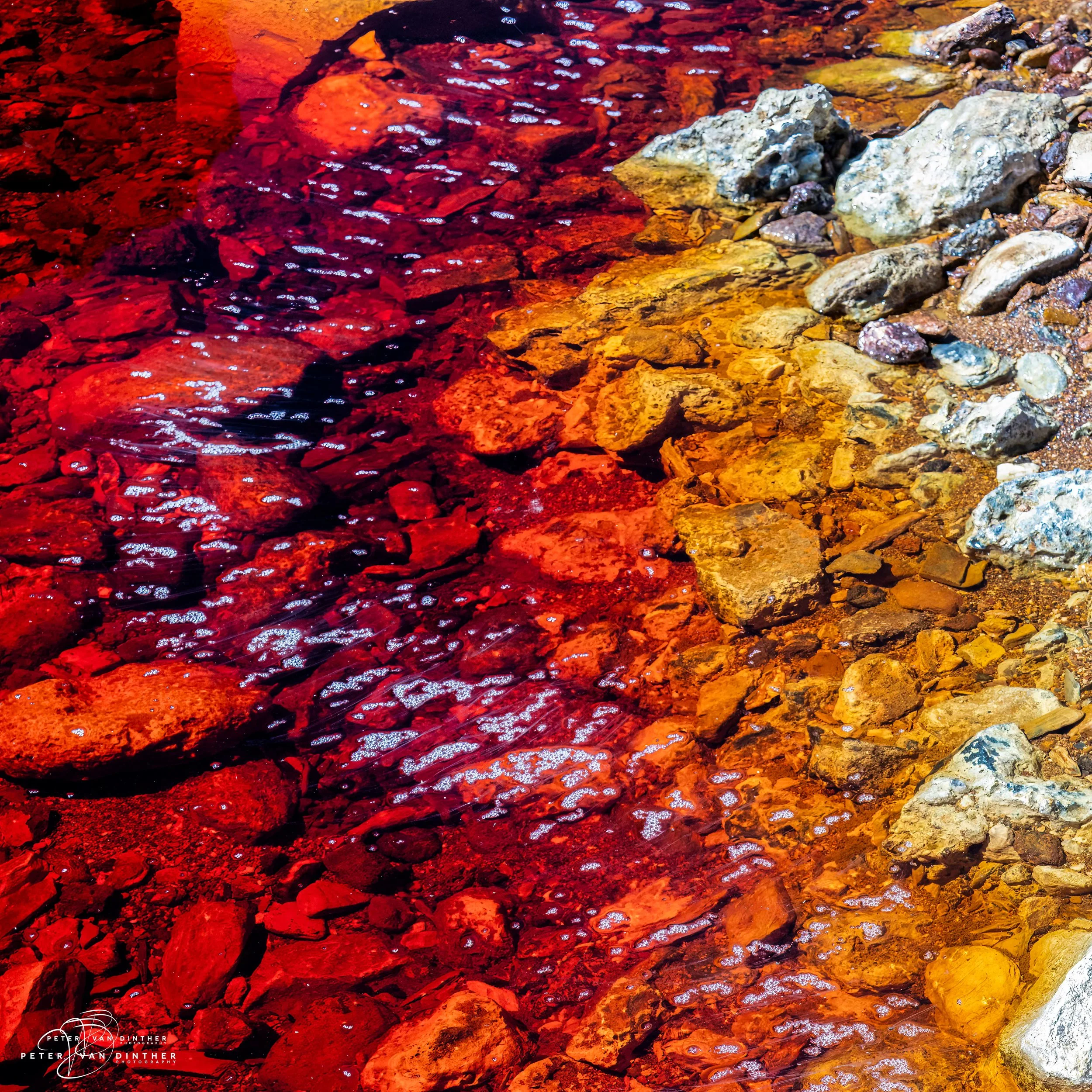 Rio Tinto 2023 Squarespace33.jpg