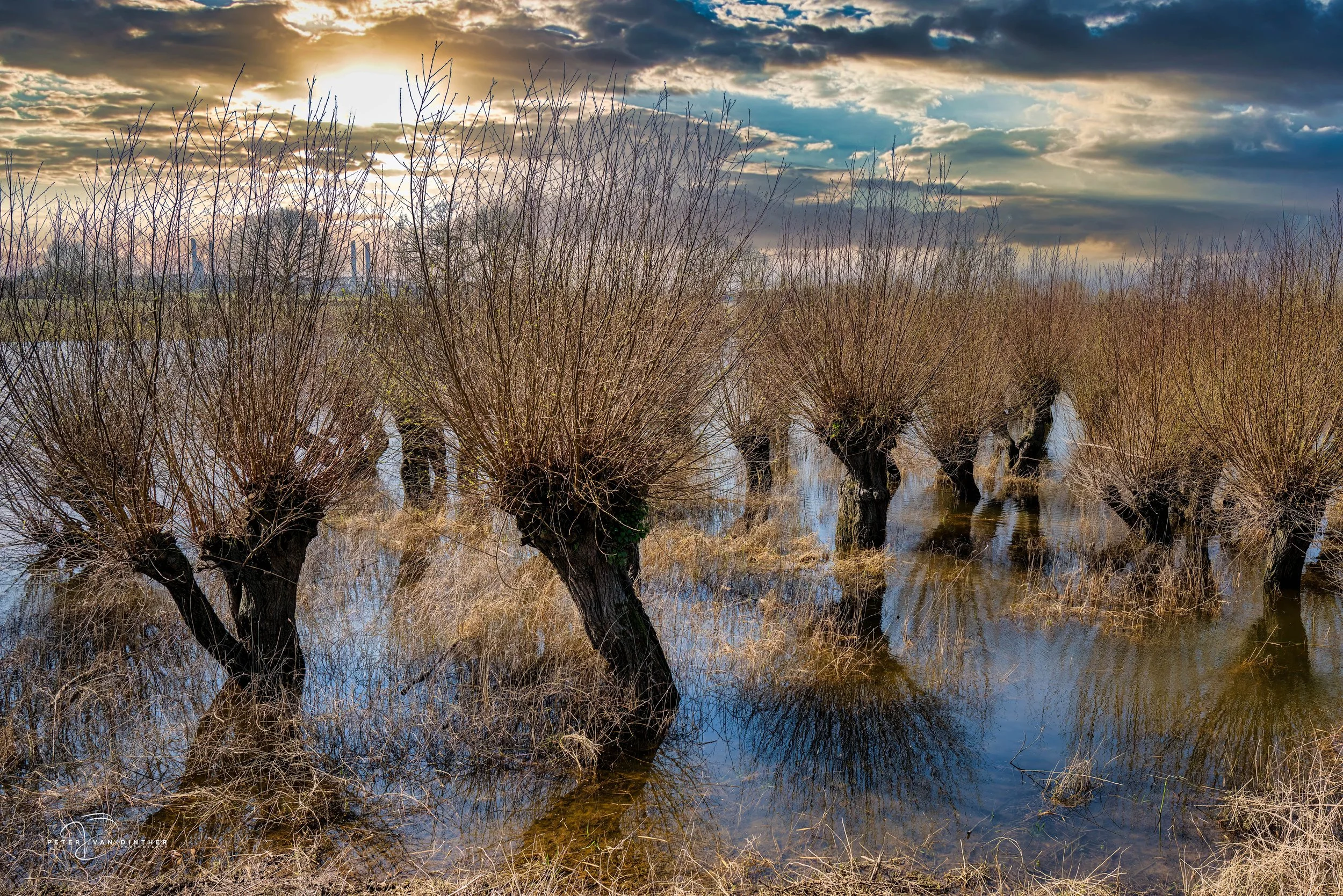 Bladloze bomen in een waterlandschap met een dramatische lucht en zonsondergang of zonsopgang.