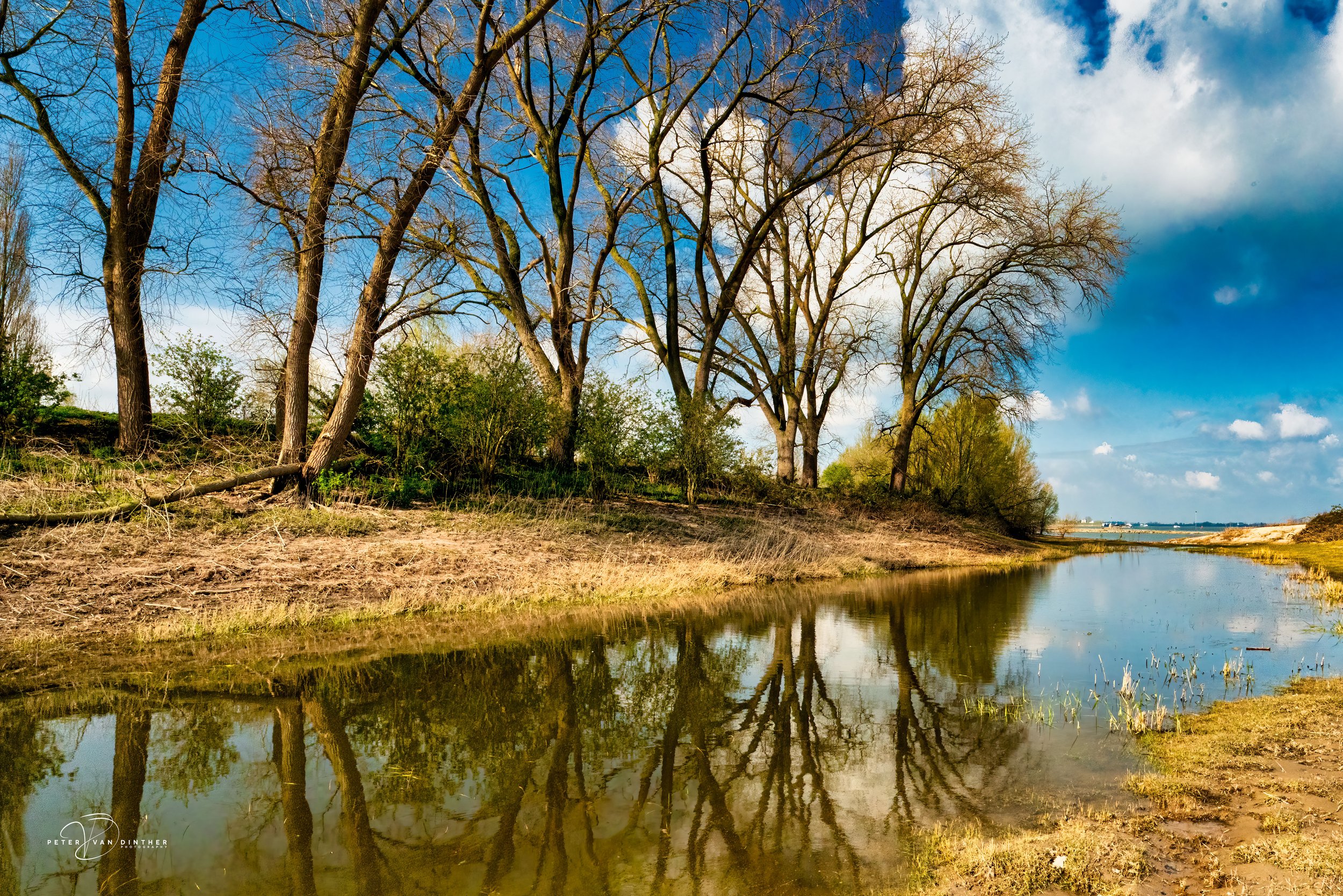 Boombomen onder een blauwe lucht met wat wolken, weerspiegeld in een rustige rivier, met gras en struiken aan de oever.