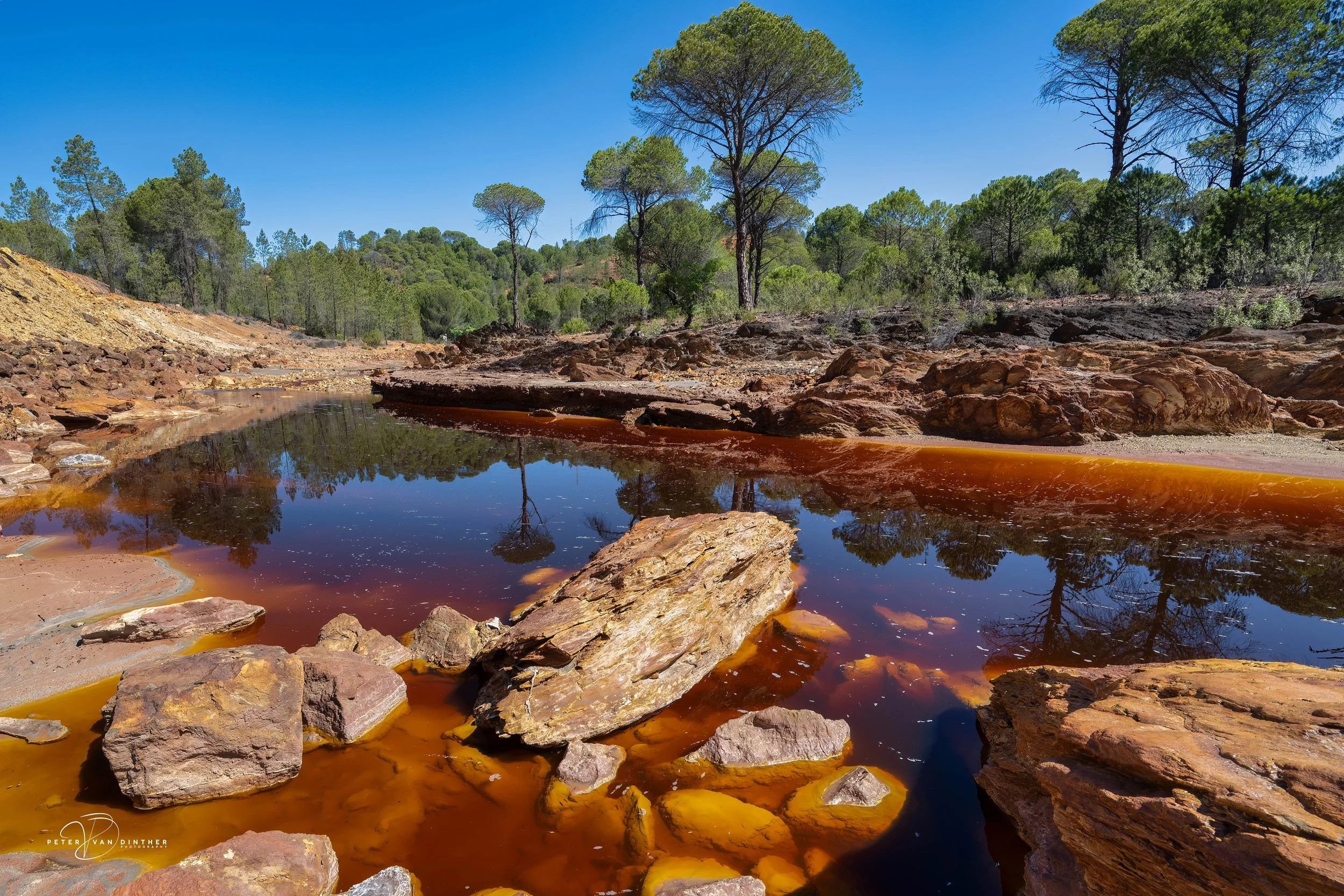 Rio Tinto 2023 Squarespace5.jpg