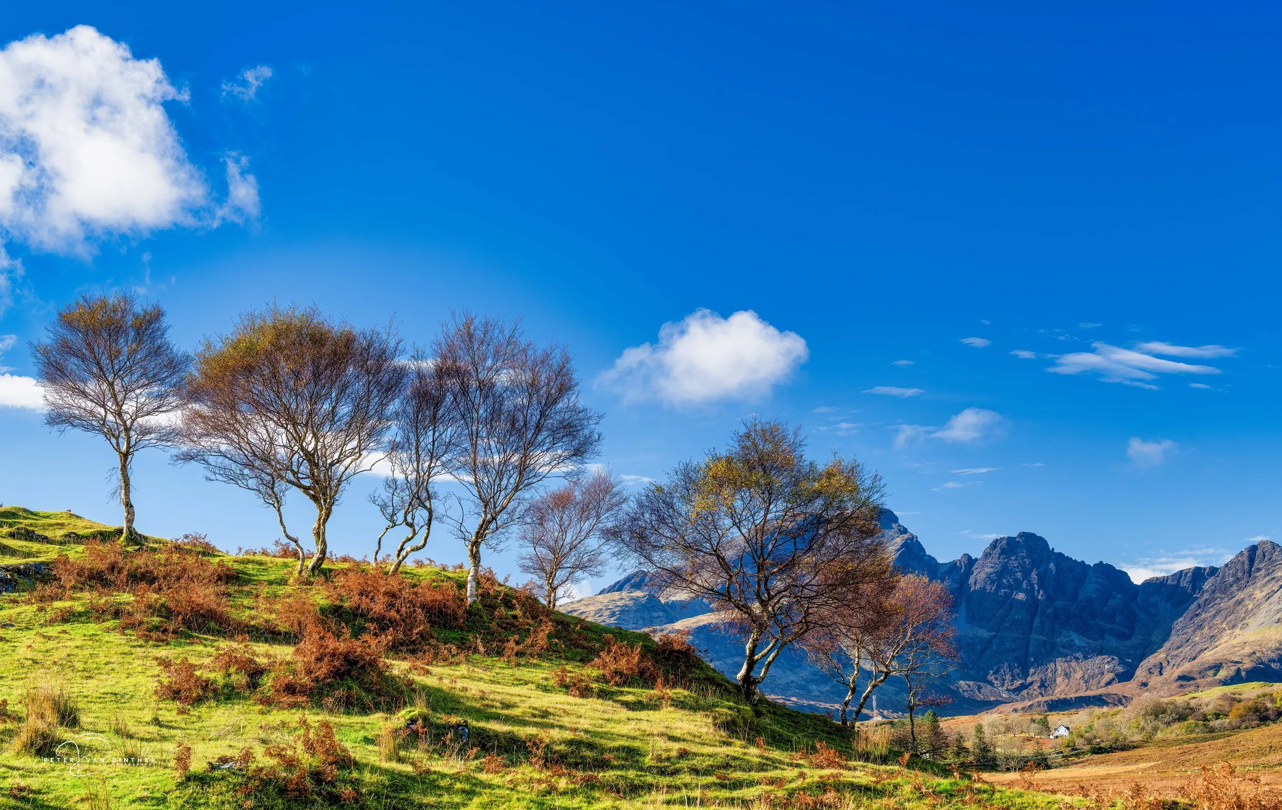 Scotland 2026 Squarespace10.jpg