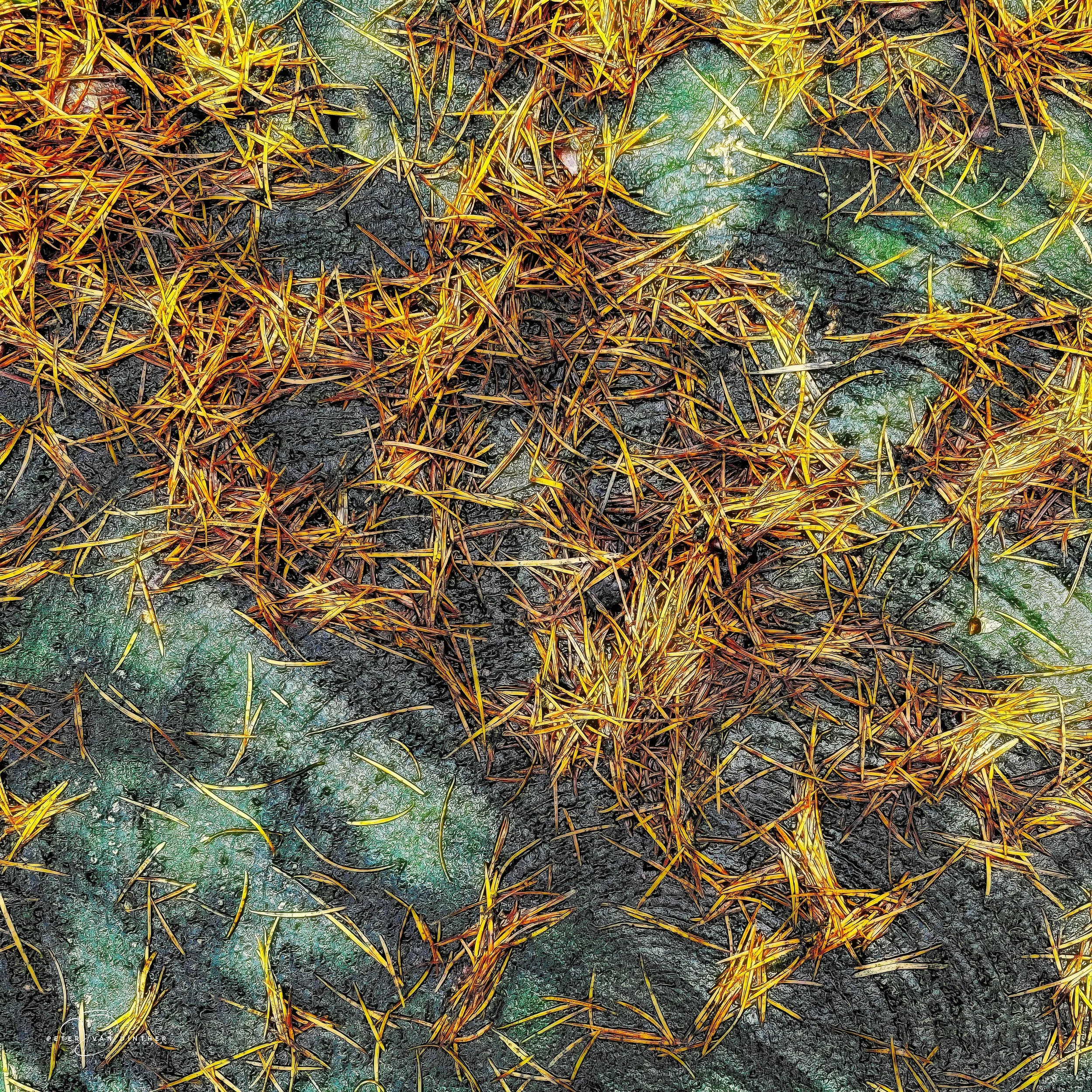 Abstracts Squarespace2.jpg