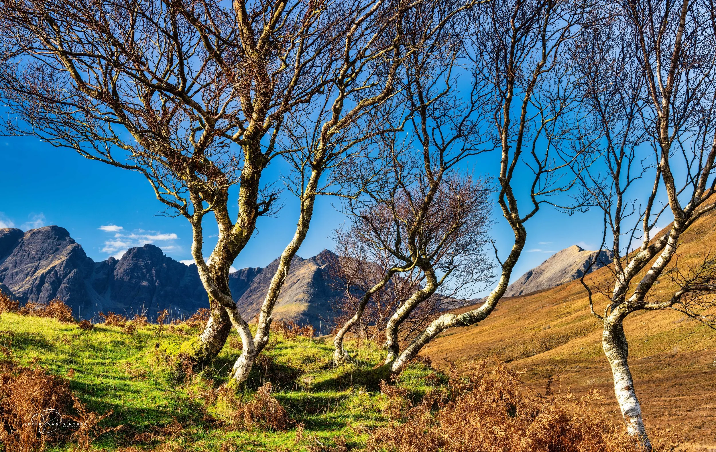 Scotland 2026 Squarespace9.jpg