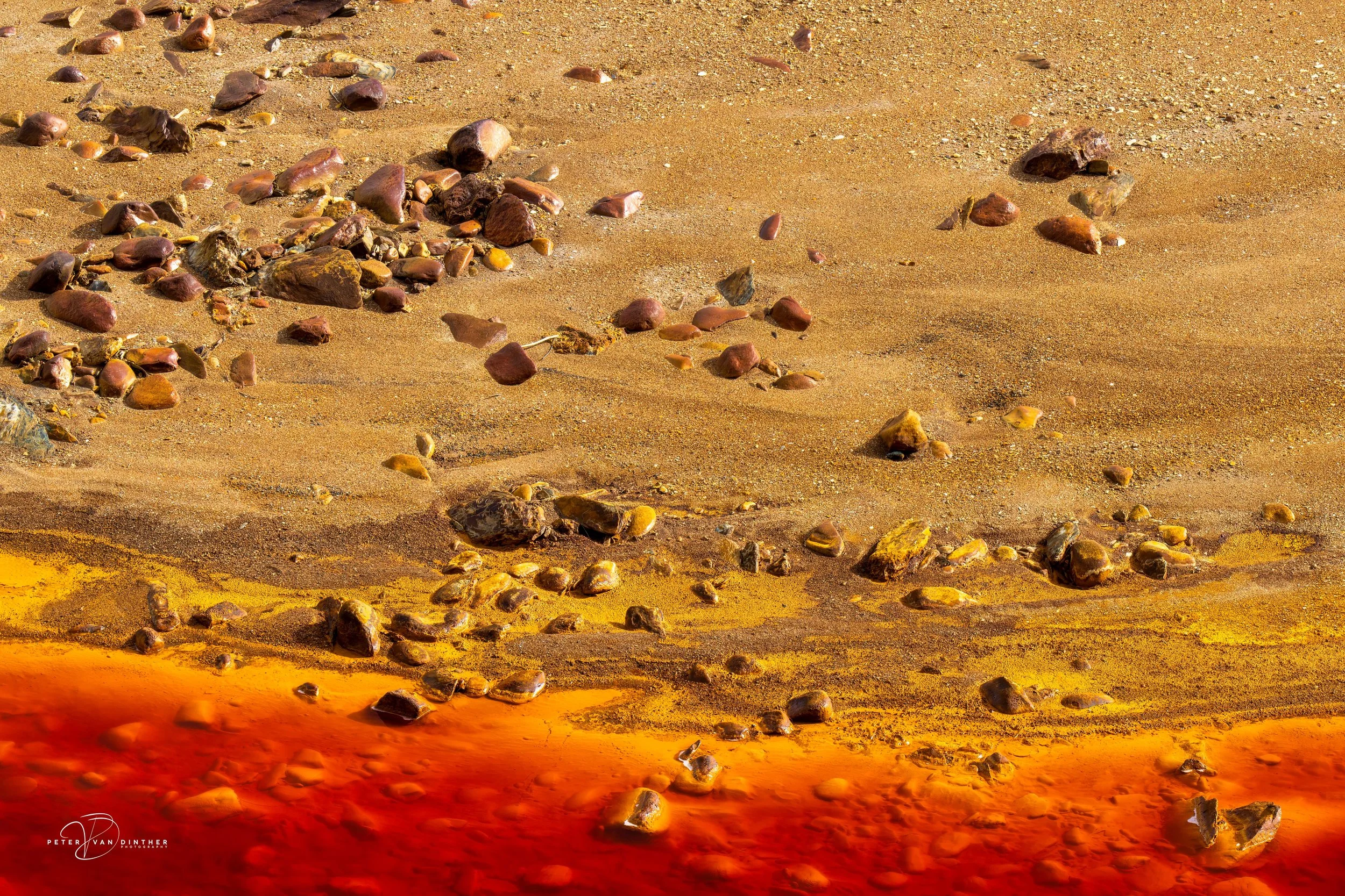 Rio Tinto 2023 Squarespace16.jpg