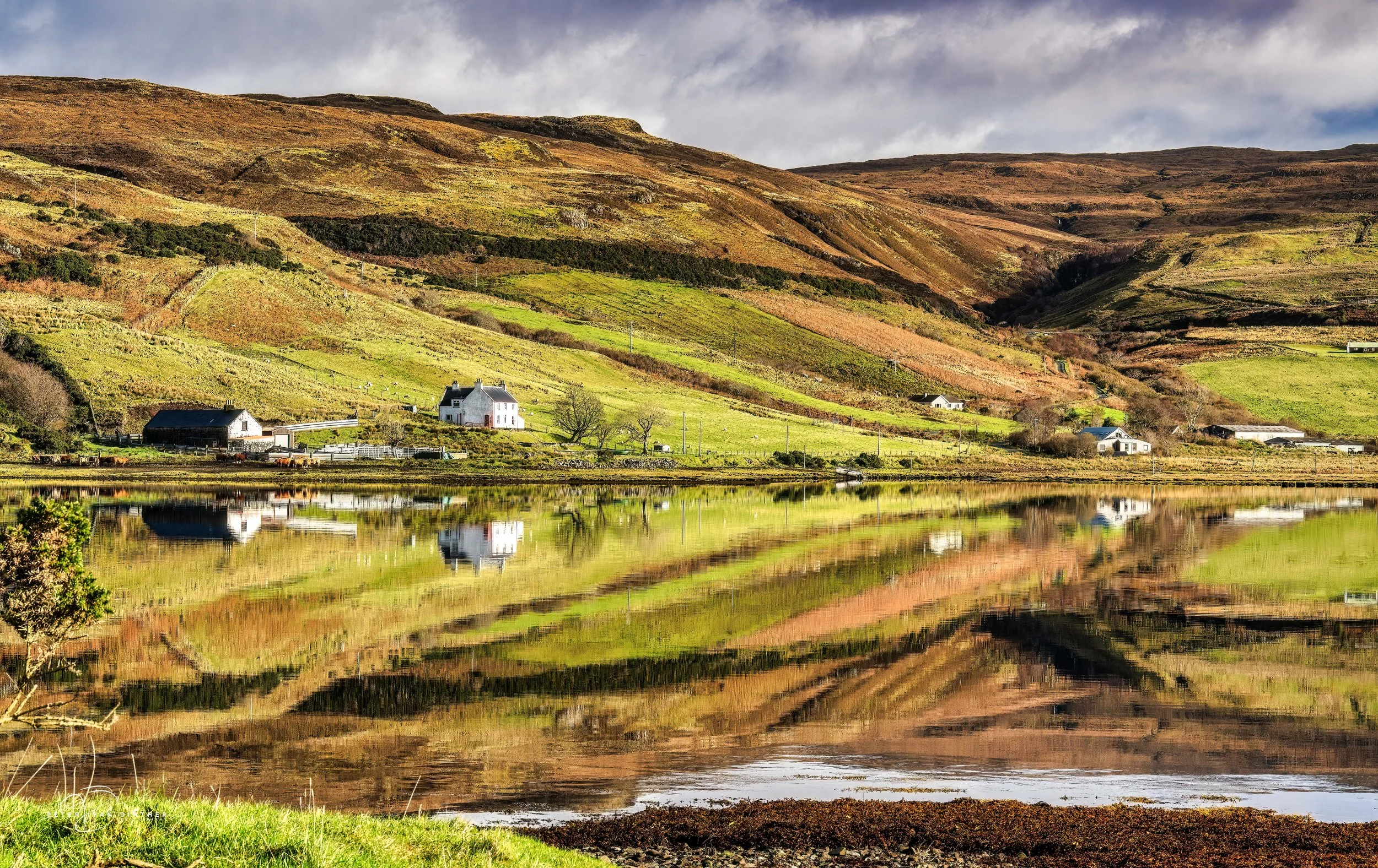 Scotland 2026 Squarespace5.jpg