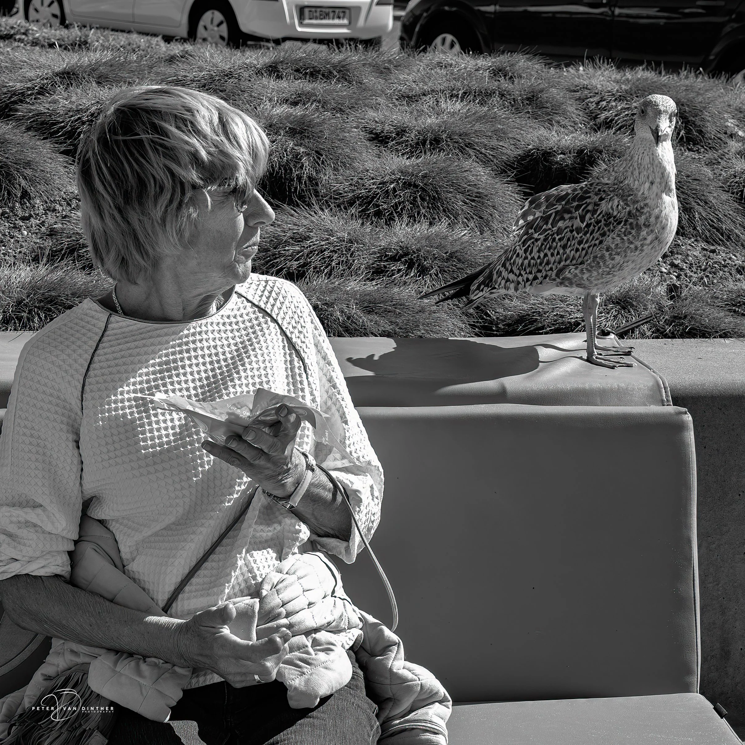 Street Squarespace15.jpg