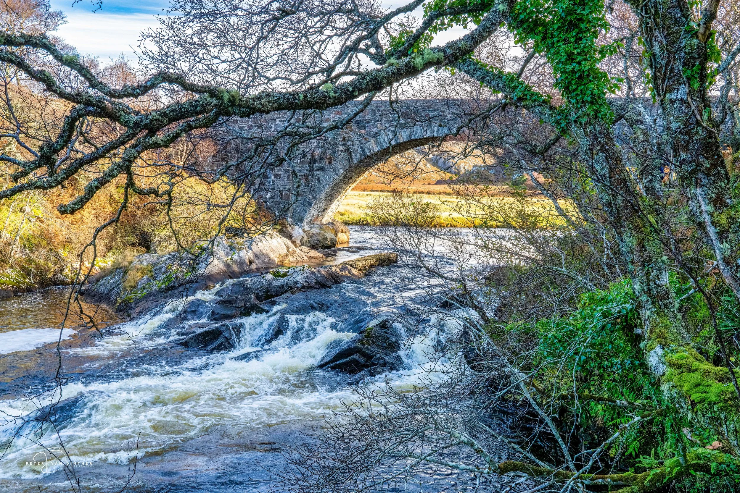 Scotland 2026 Squarespace1.jpg