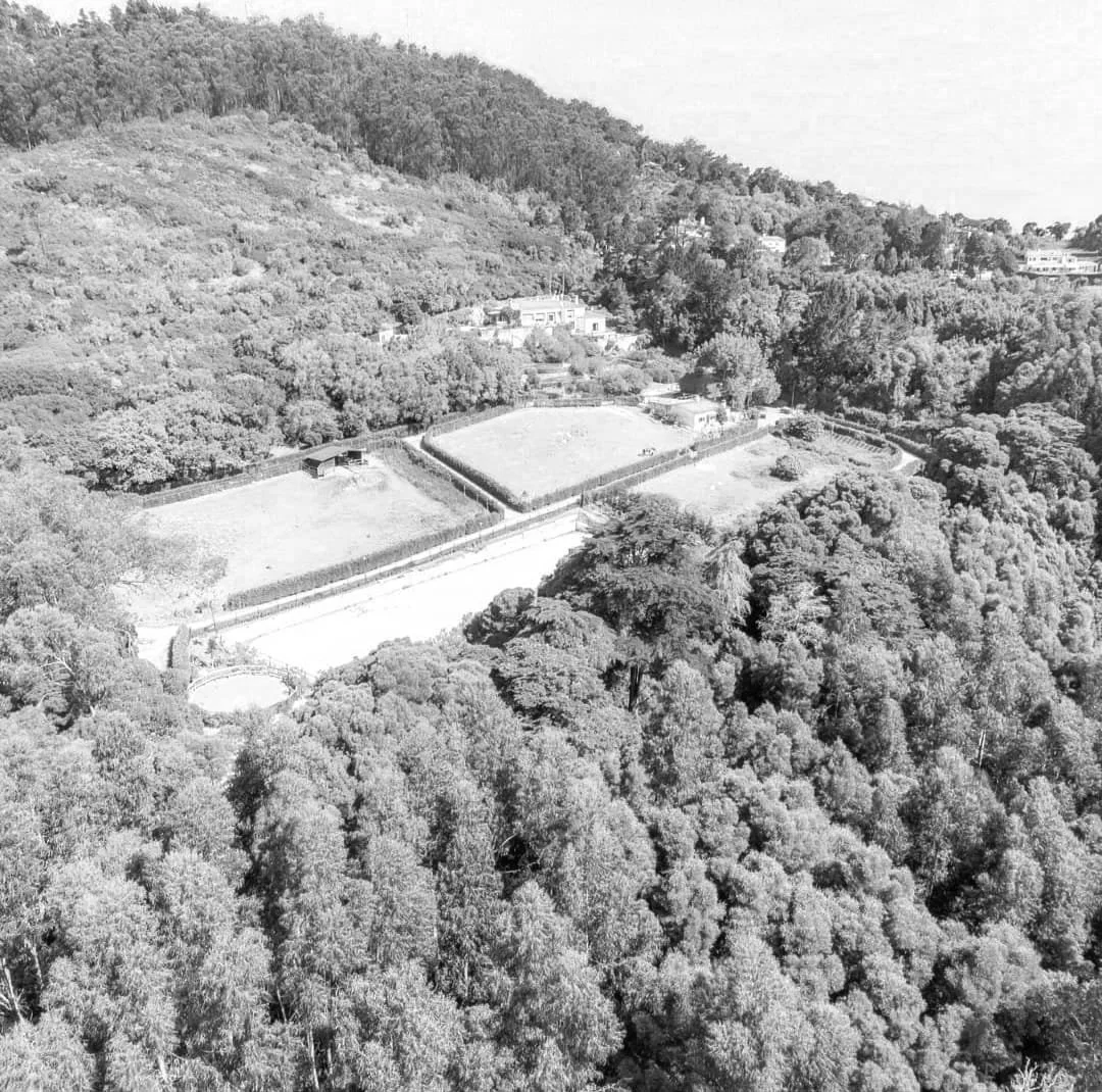 Aerial view of a hilly residential area with trees, houses, and sports courts surrounded by lush forest.