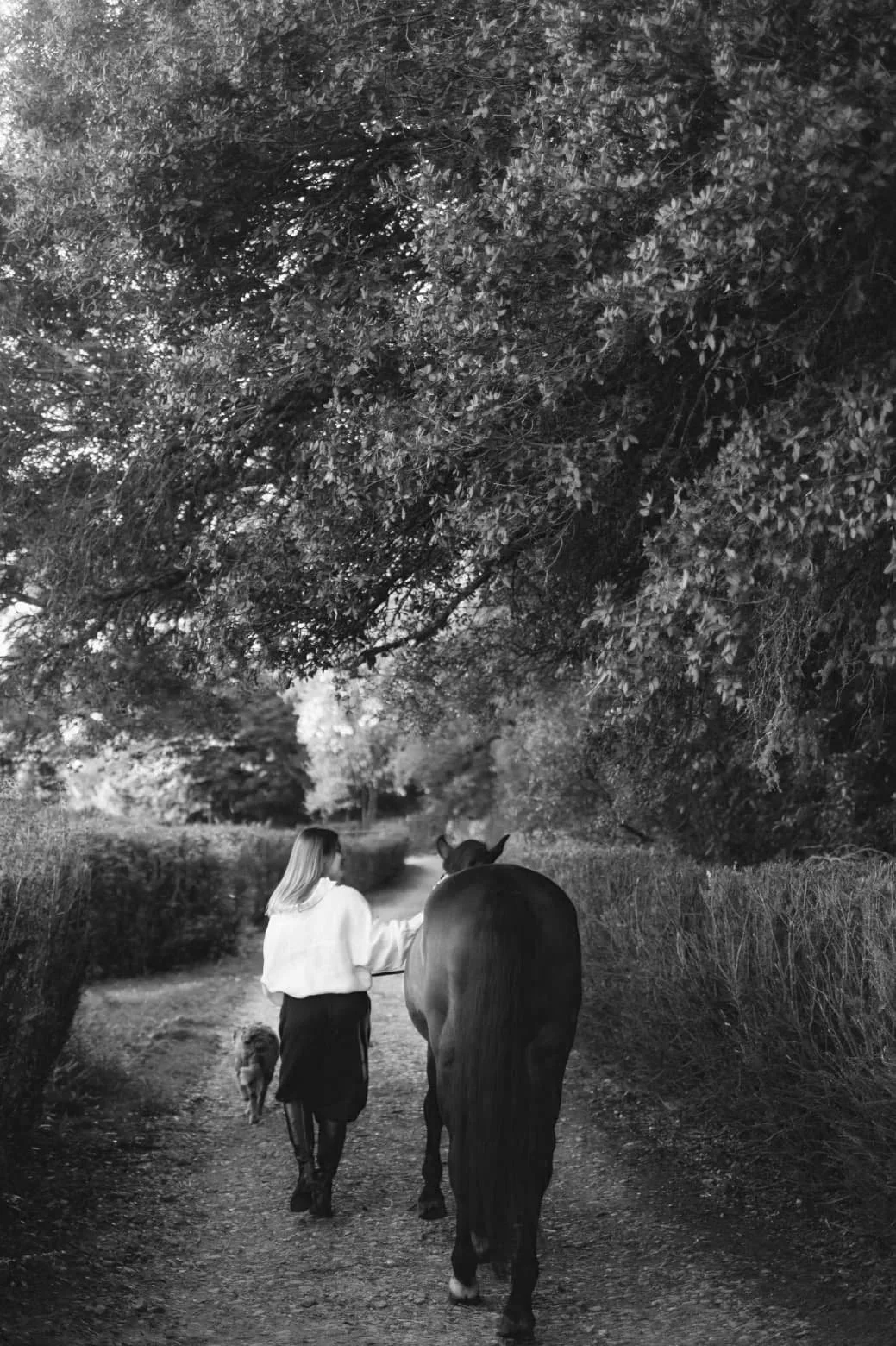 A woman walking down a dirt path with a horse and a dog in a wooded area, black and white photo.