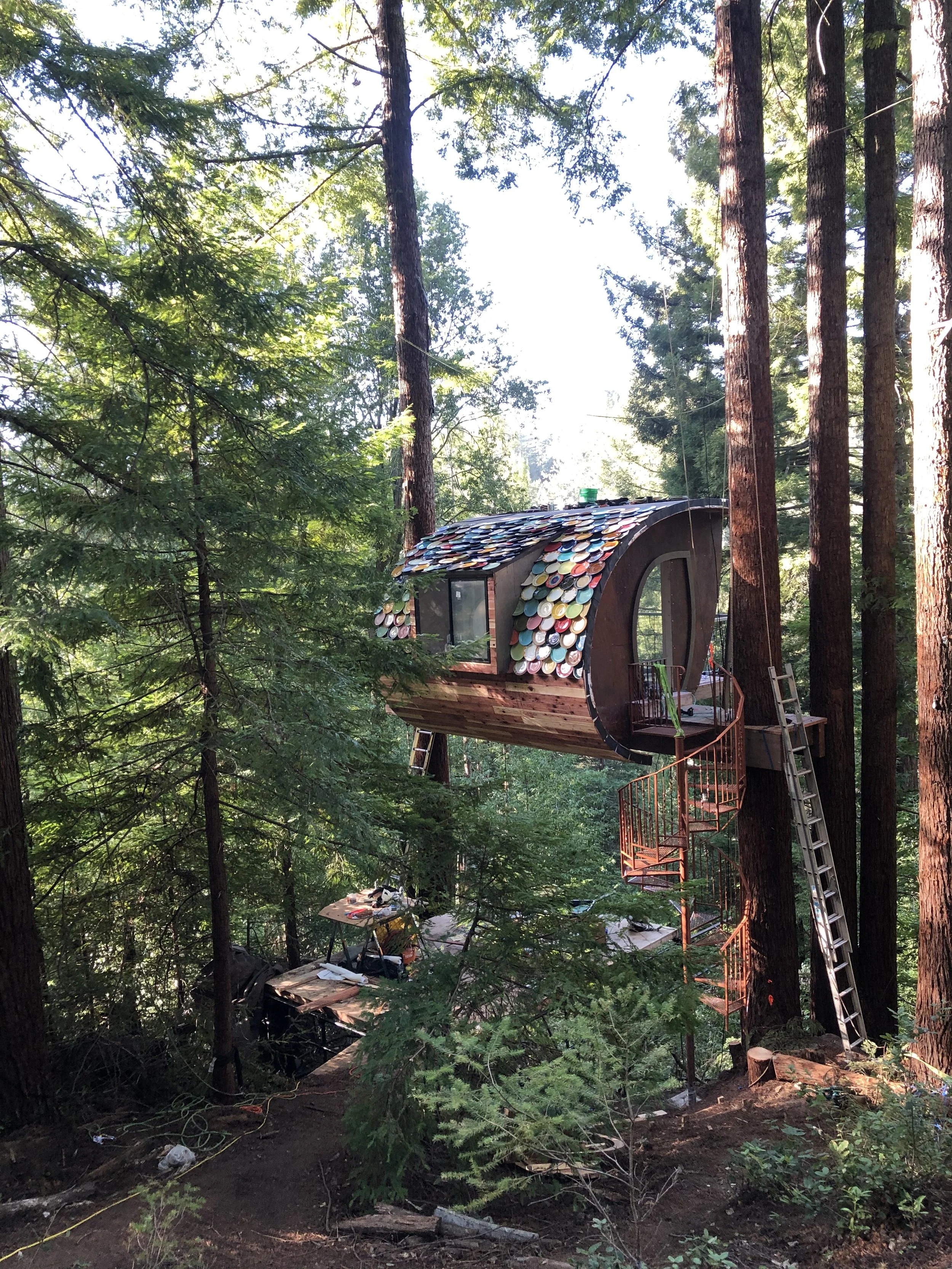 Treehouse built among tall pine trees in a forest, with a curved roof decorated with colorful circular tiles. Ladders and tools are visible nearby, indicating ongoing construction or renovation.