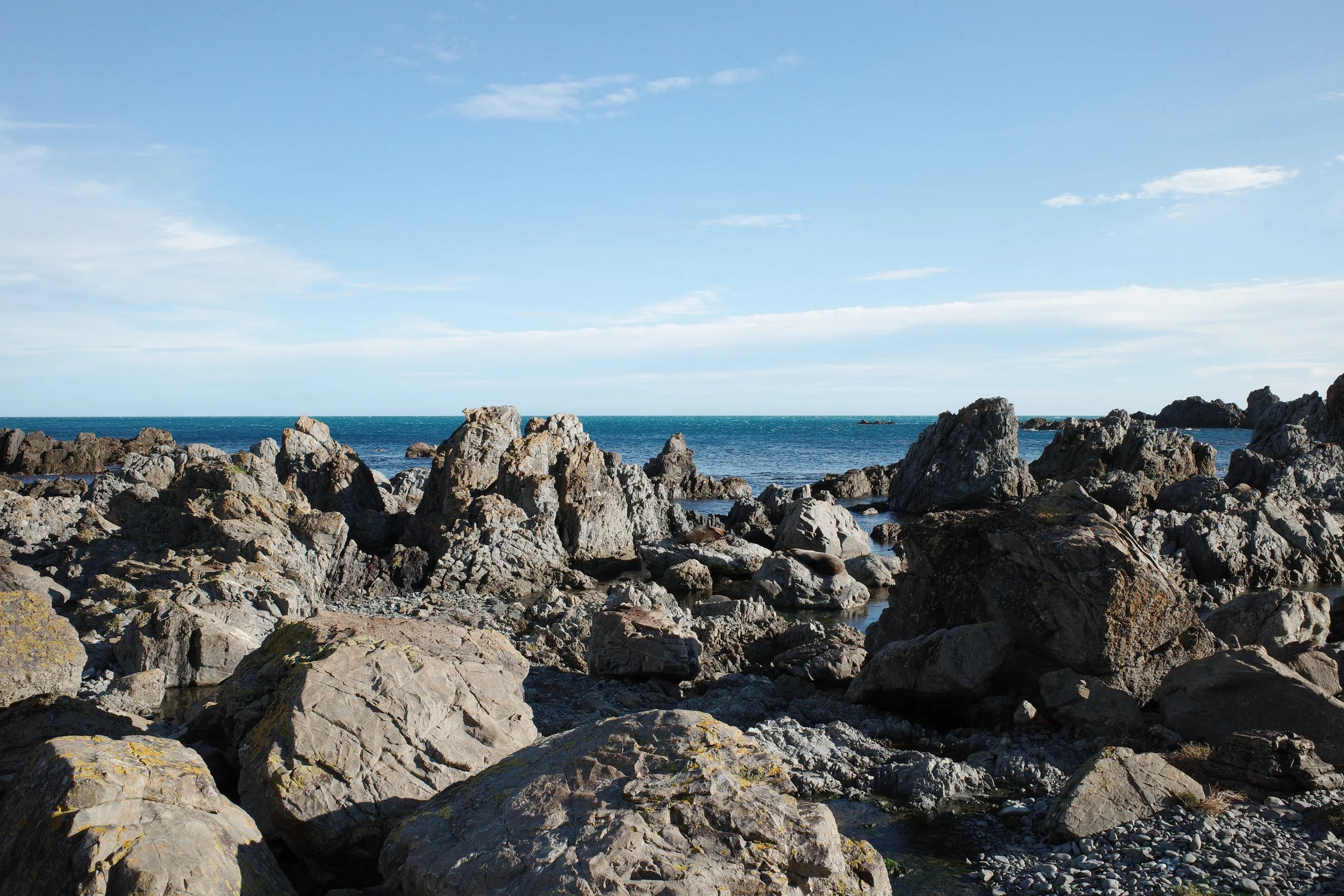 R0001269.JPG