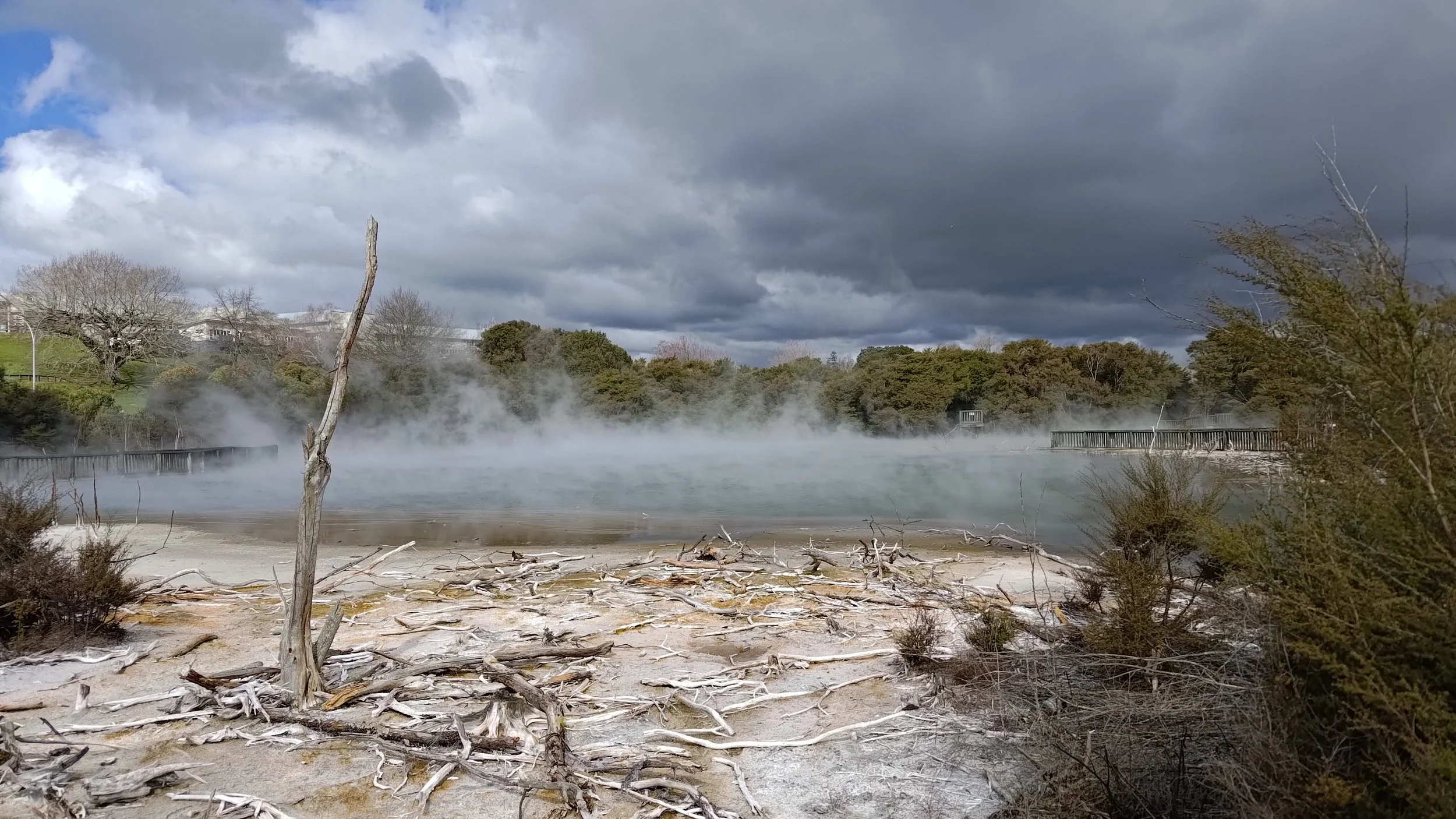 Waypoint NZ Production 03: Creating the base Home Page