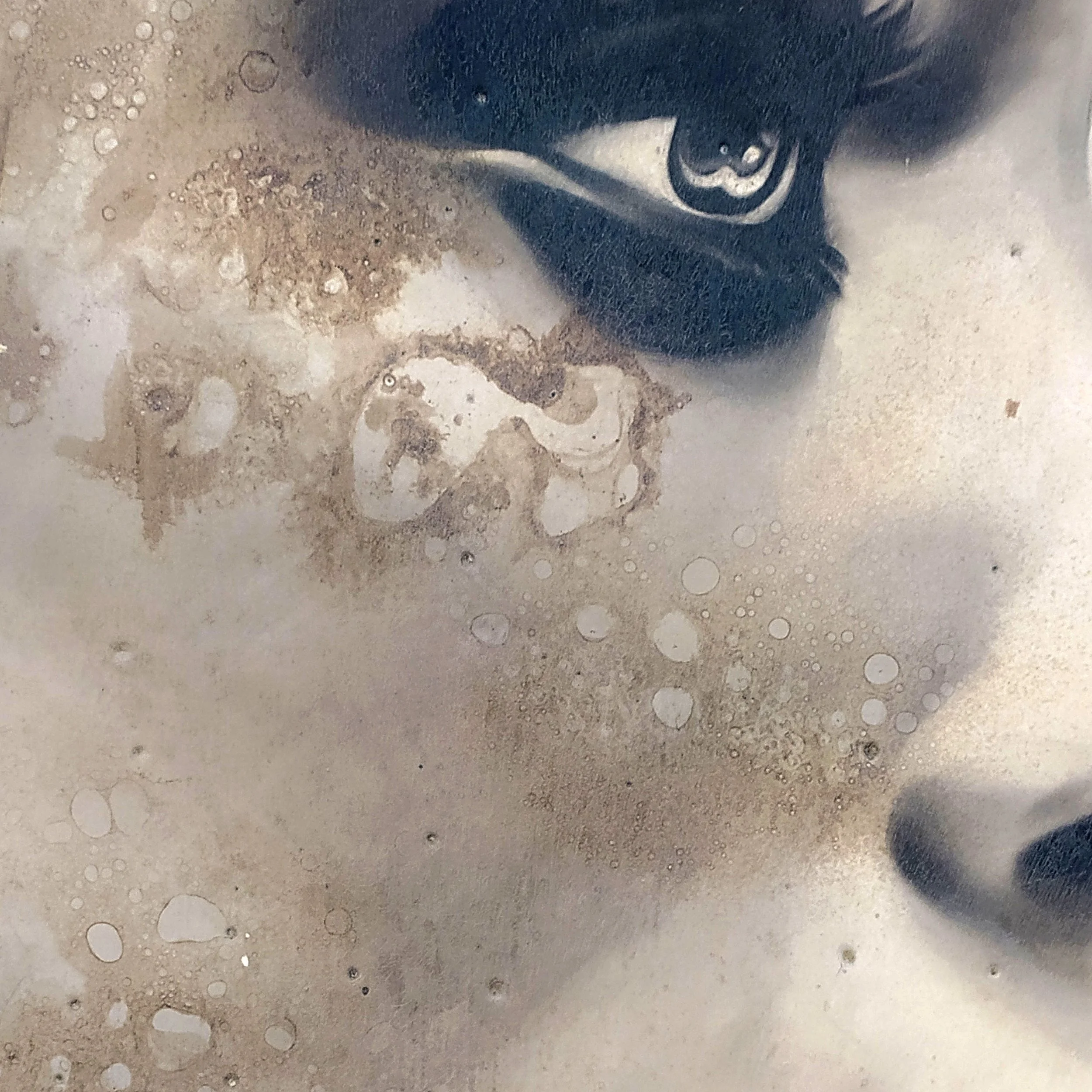 Toni Alfano, Meditterraneo Sacro (04), 2022 - Charcoal/Descialbo/mixed media, detail