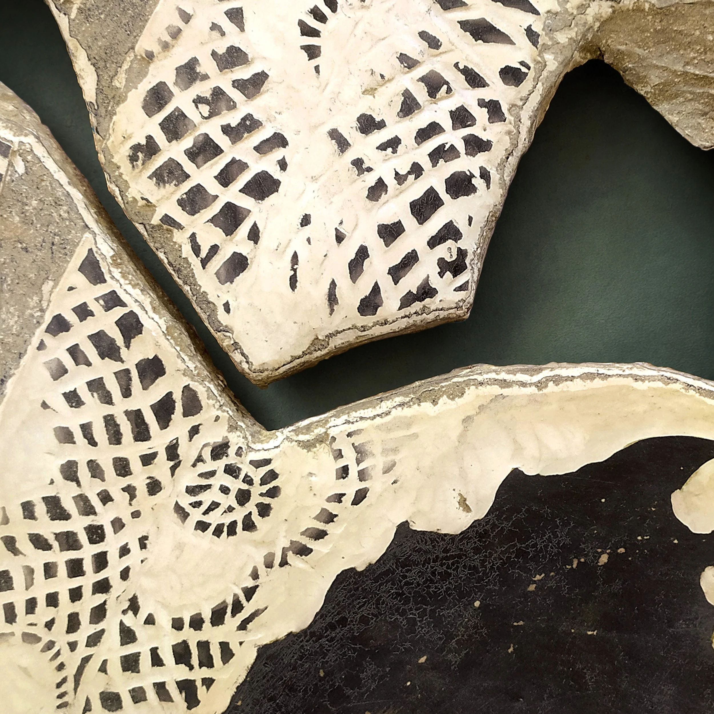 Toni Alfano, Meditterraneo Sacro (04), 2022 - Charcoal/Descialbo/mixed media, detail