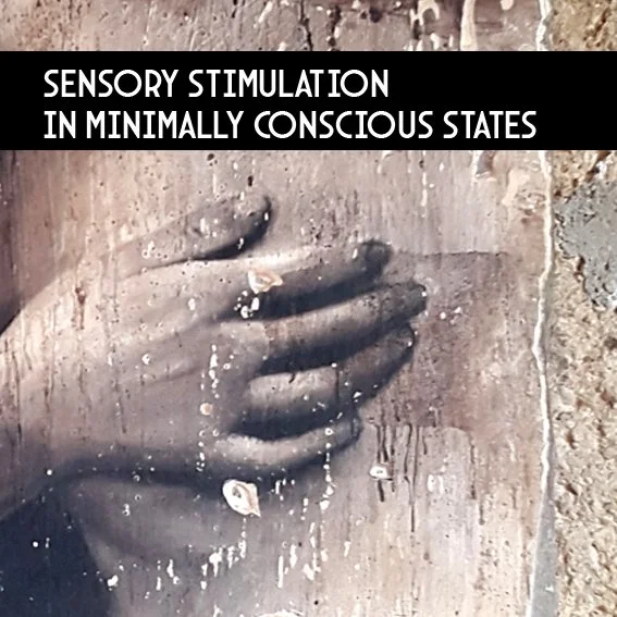 Toni Alfano Sensory stimulation in minimally consciious states
