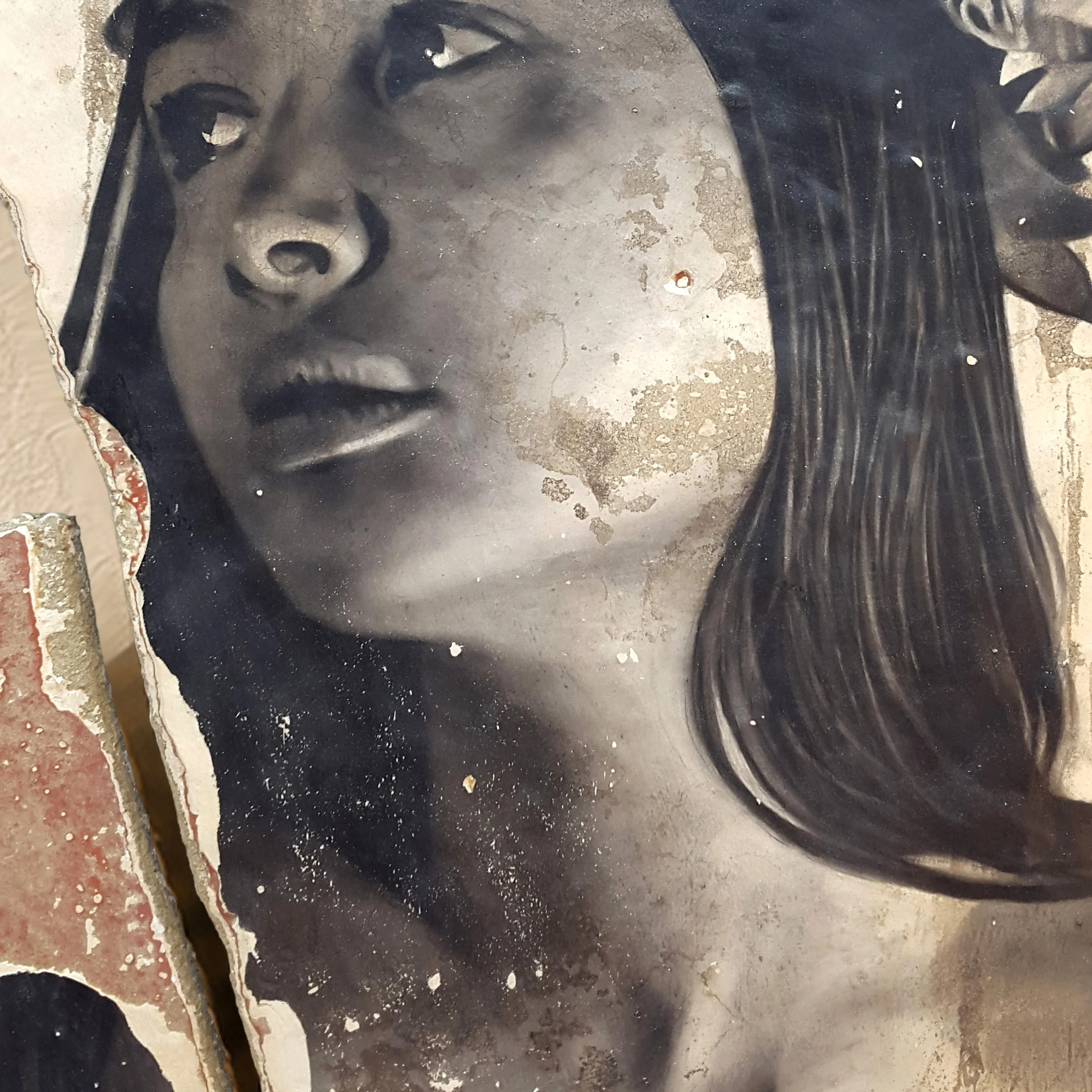 Toni Alfano, Phenomenologies (F.A.S.), 2019 - Charcoal/Descialbo/mixed media, detail