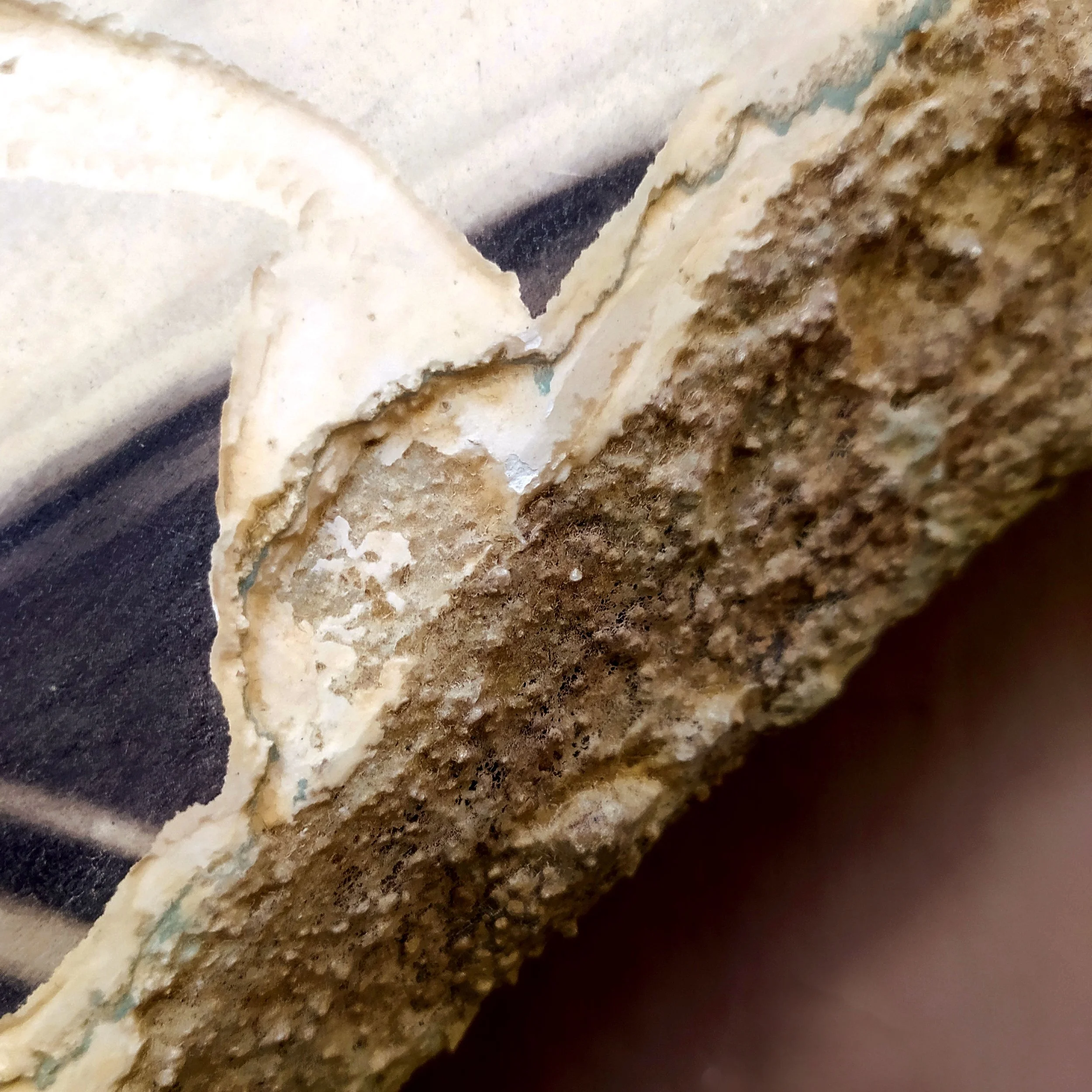 Toni Alfano, Being and Time (ukiyo), 2026 - Charcoal/Descialbo/mixed media, detail