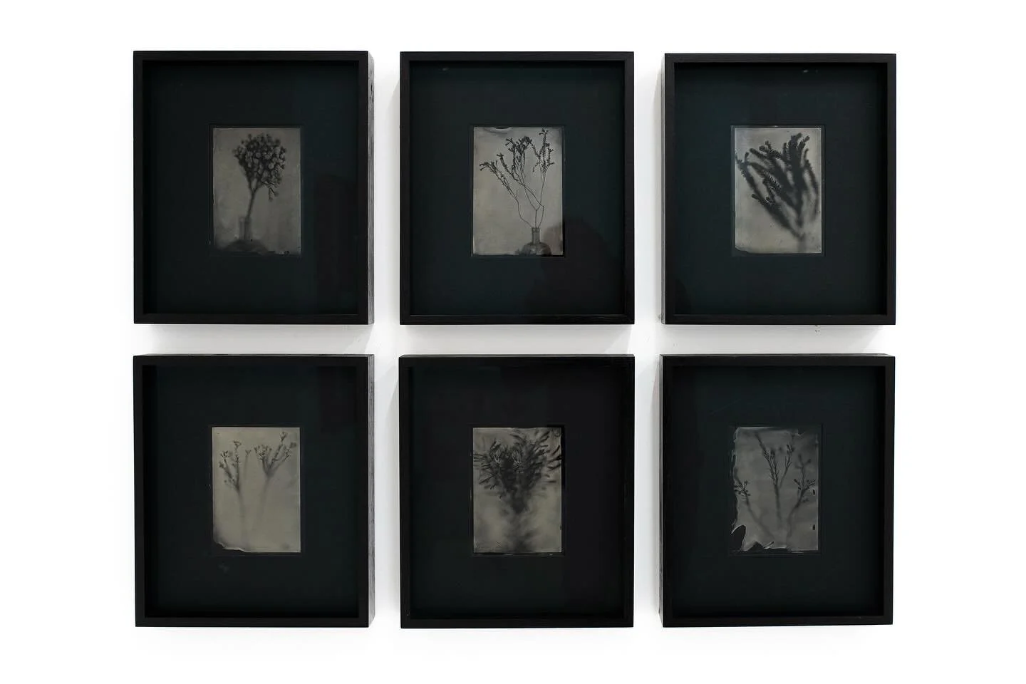 Black mounts with black stained Kiaat wood frames and museum glass really make these Ambrotype wet plates by @nolanlister stand out at @ultraviolet_gallery 

#artframing #artglass #ambrotype #wetplatecollodion #artgallery #artexhibition #fineartphoto