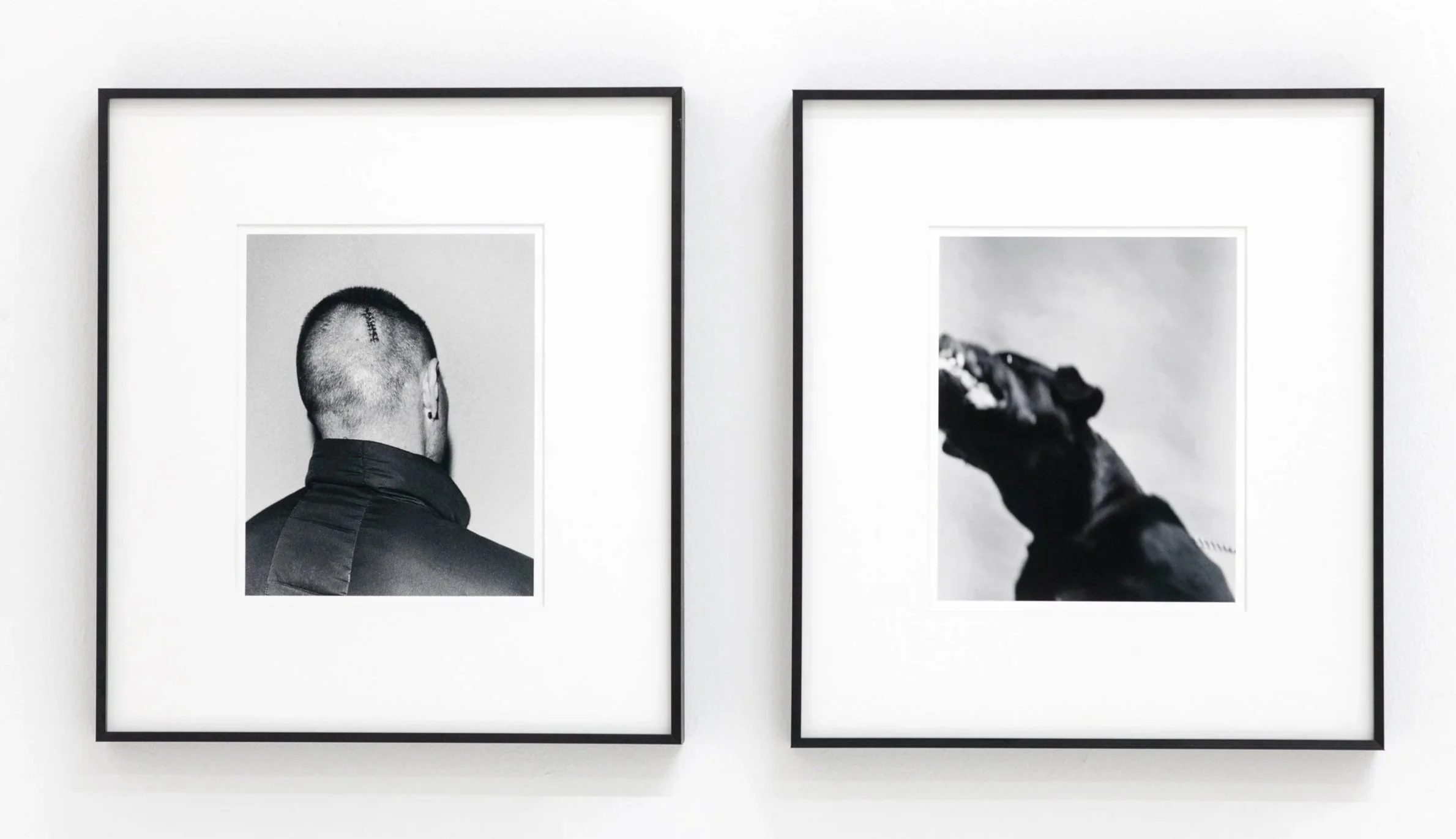Two black-and-white photographs in black frames hanging on a white wall. The left photo shows the back of a person with a buzz cut and an earring, wearing a dark jacket. The right photo shows a close-up of a dog’s head and paw, with the person’s face