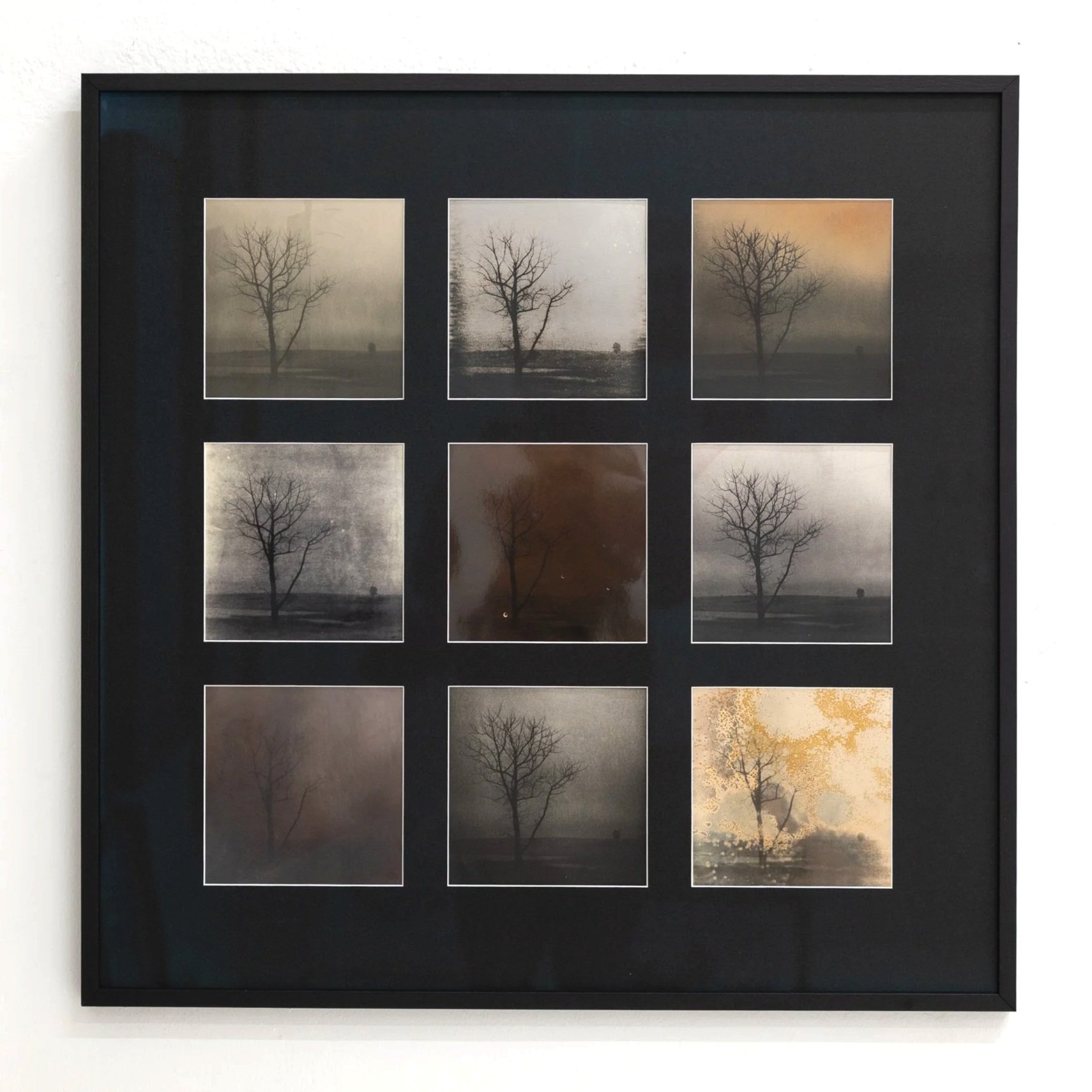 A black-framed collage of nine photographs depicting a leafless tree in various weather conditions and lighting, mounted on a white wall.