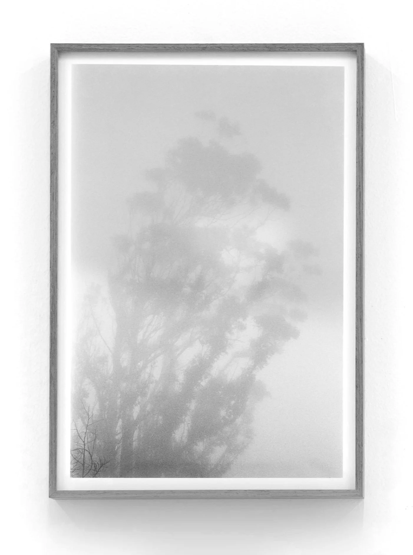 A black and white photograph of a foggy landscape with trees, framed and hung on a white wall.