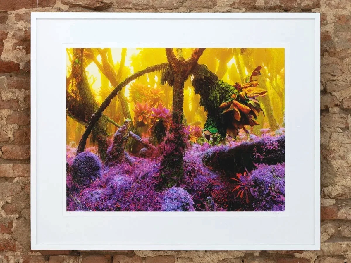 A colorful landscape painting of a forest with moss-covered trees, vibrant pink and purple bushes, and intense yellow lighting.
