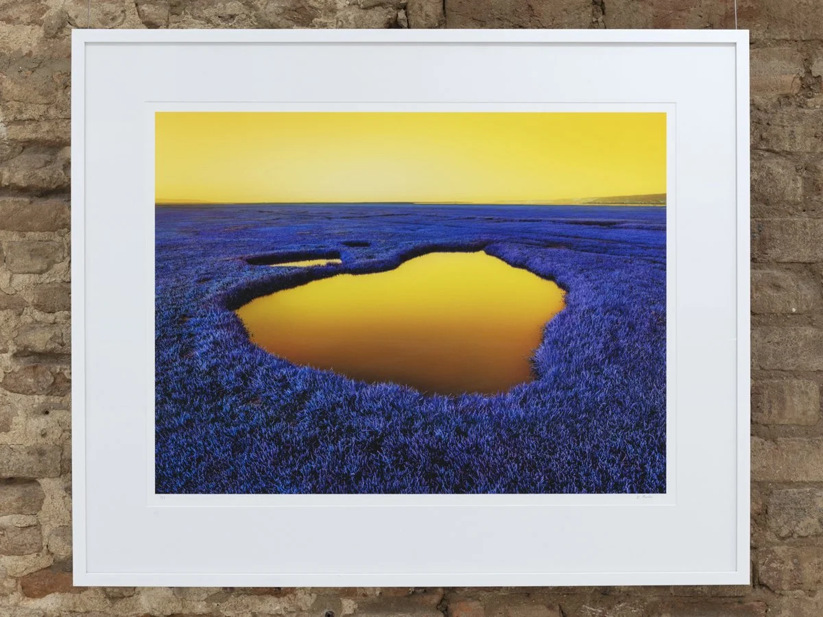 A framed landscape photograph of a field of purple flowers with a small pond reflecting a yellow sunset sky, mounted on a brick wall.