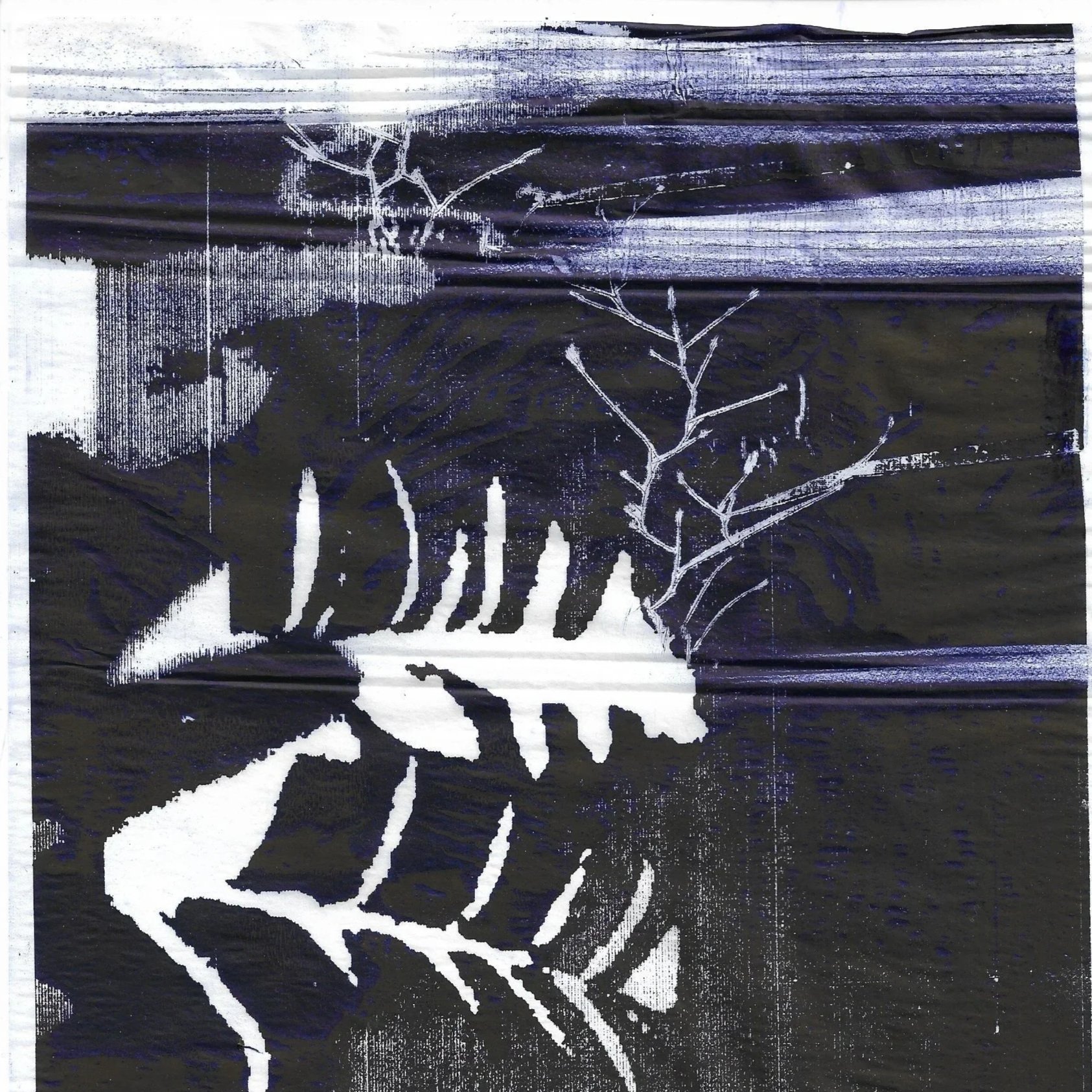 'Untitled'