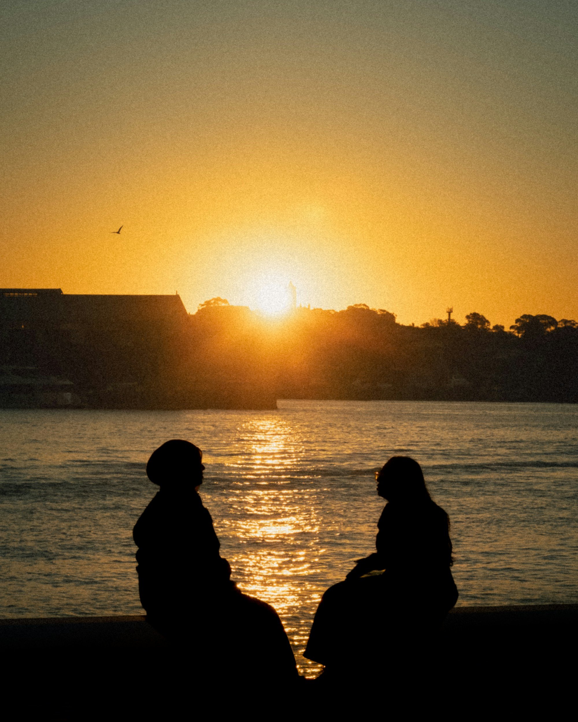 Silhouettes of two people sitting by the water during sunset, with the sun setting behind buildings and trees in the background, and a bird flying in the sky.