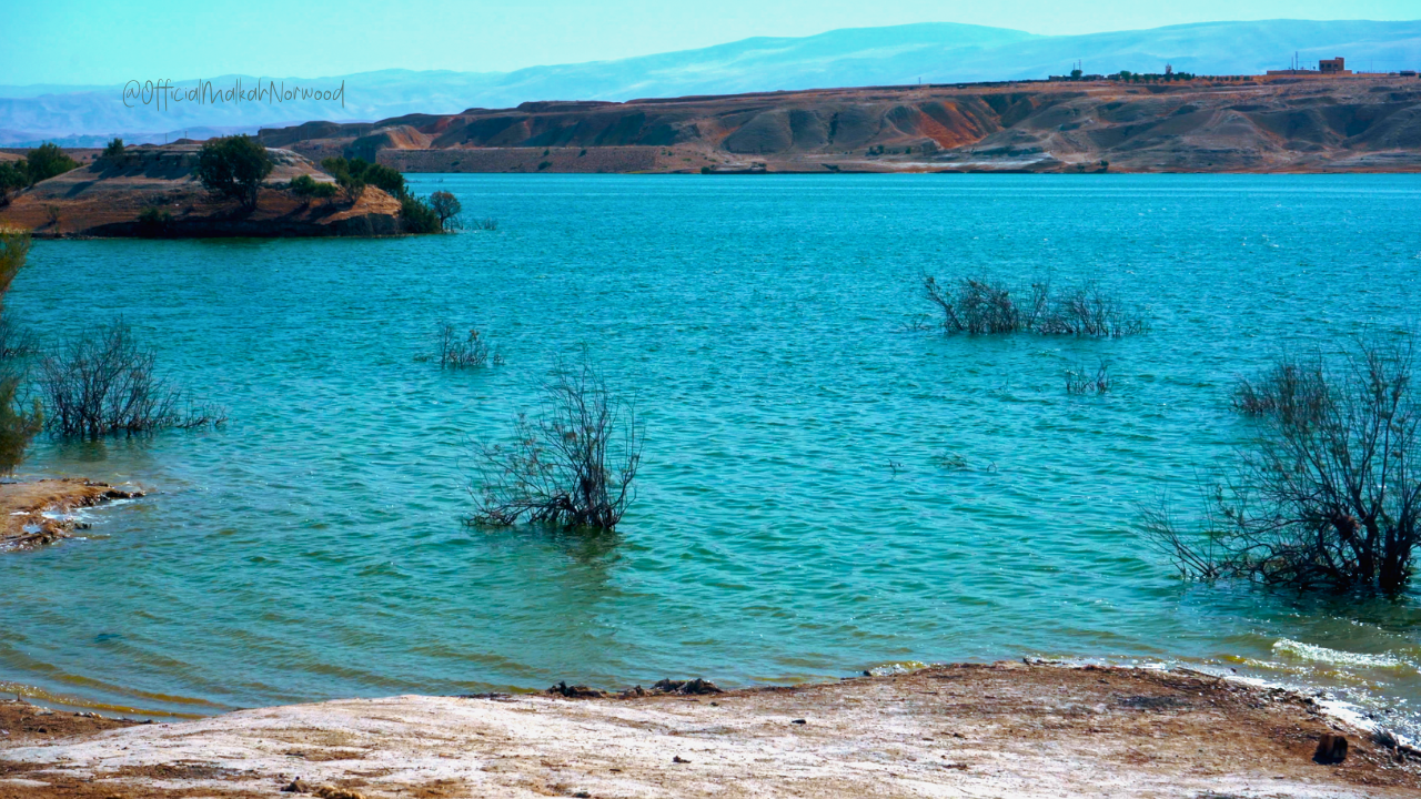 A body of water with some plants partially submerged, surrounded by land with hills in the background.
