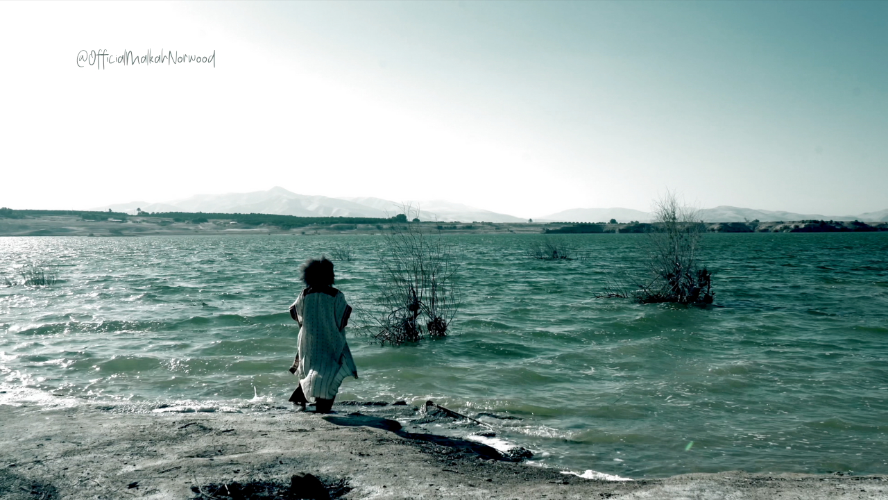 A child standing on a lakeshore, facing the water with mountains in the background and some small trees partly submerged in the lake.