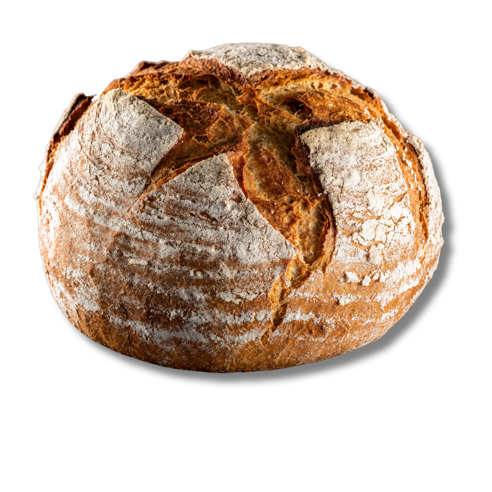 Untitled design (1).png