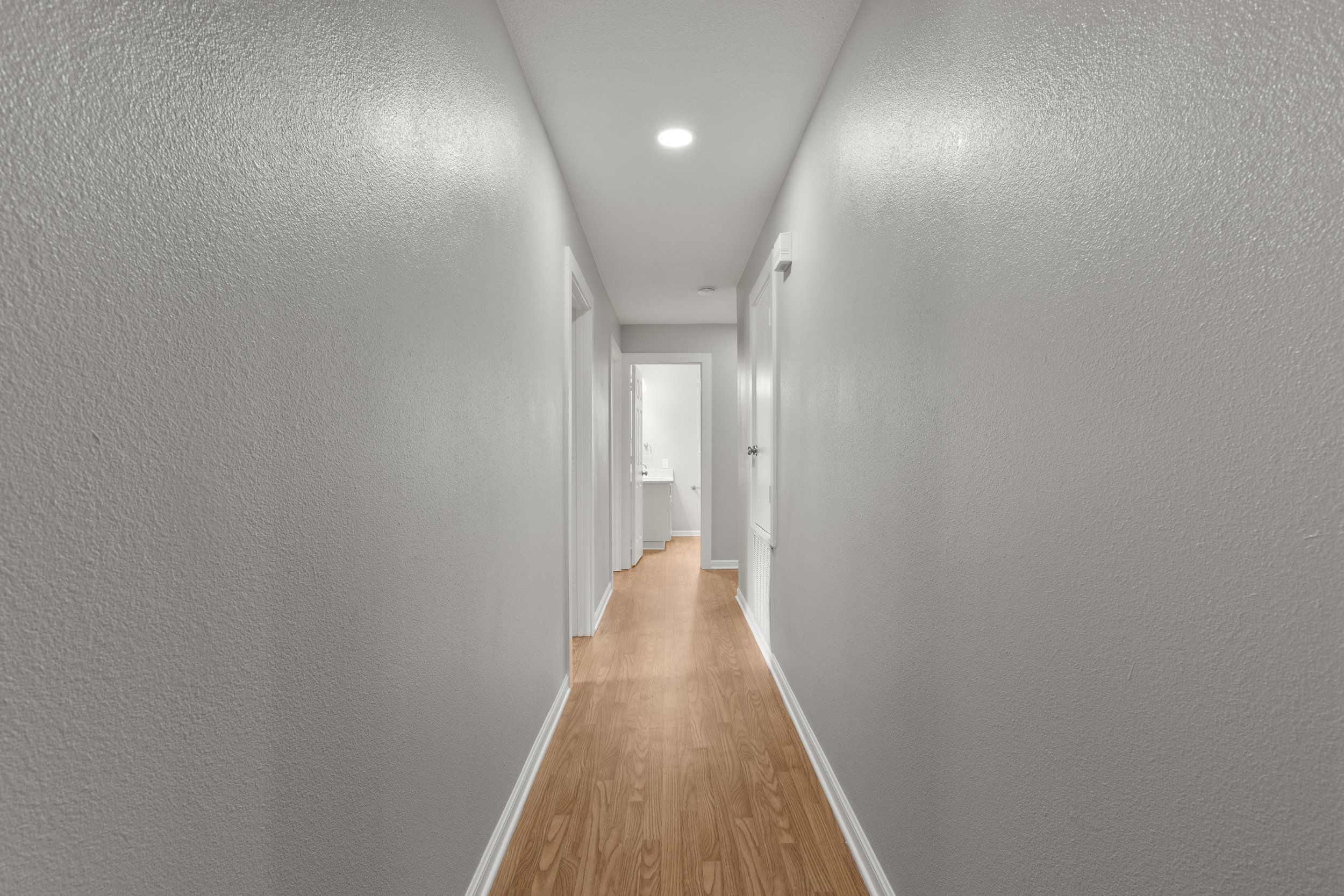 245A2637.JPG
