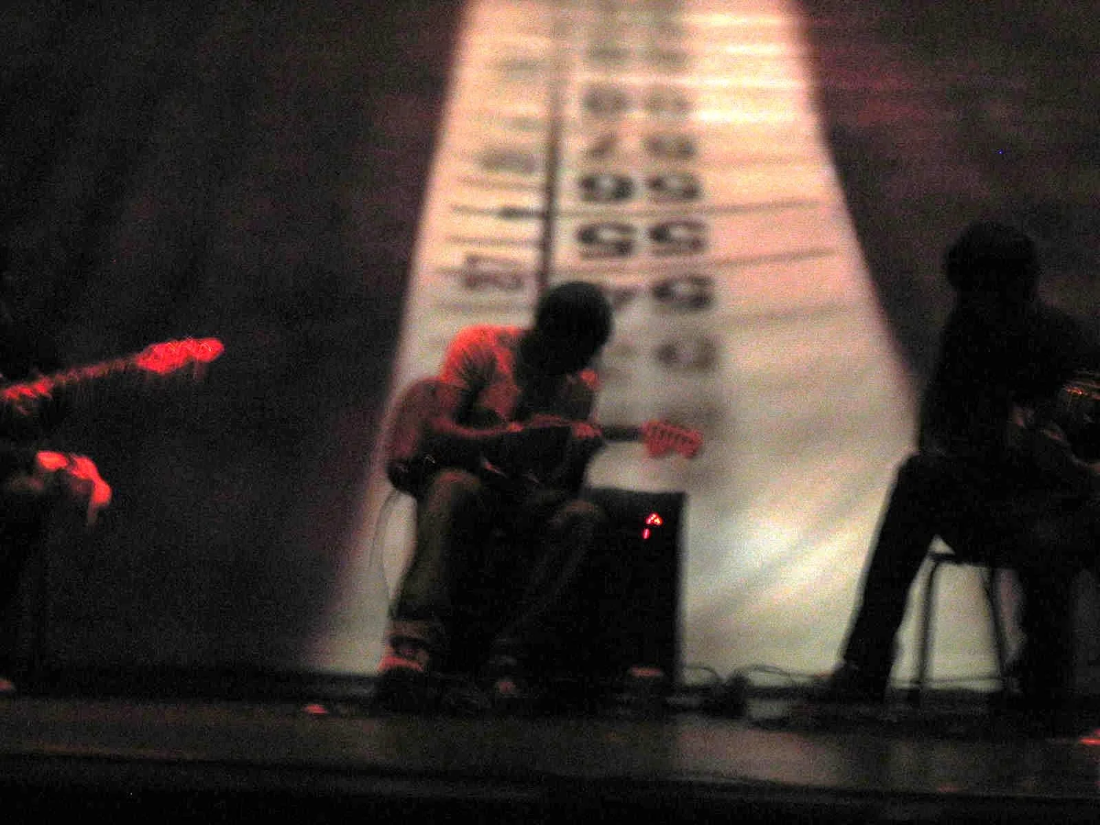 new york electroacustic music ensemble directed by esther lamneck
