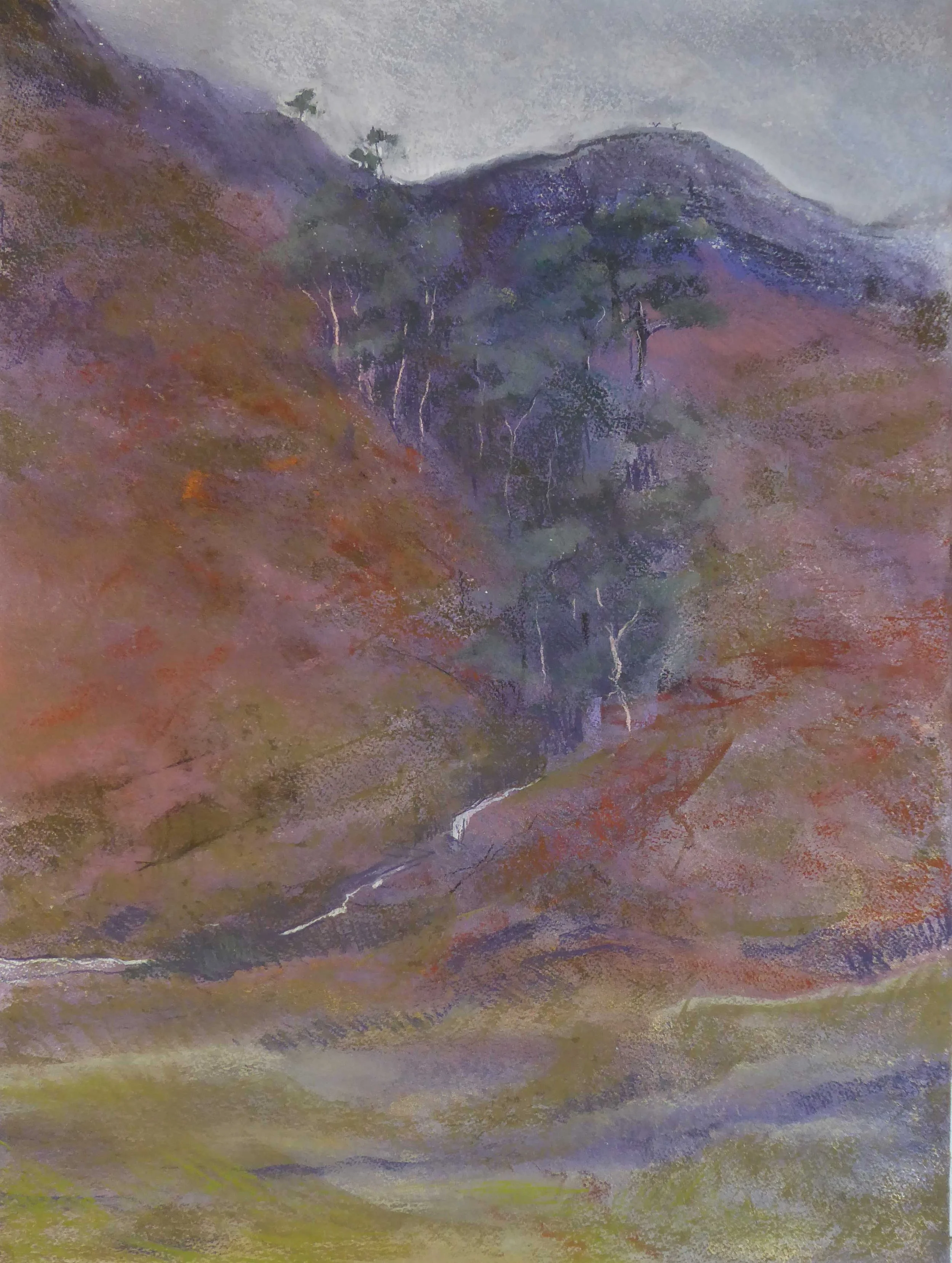 Scots Pine Ridge 700 x 515