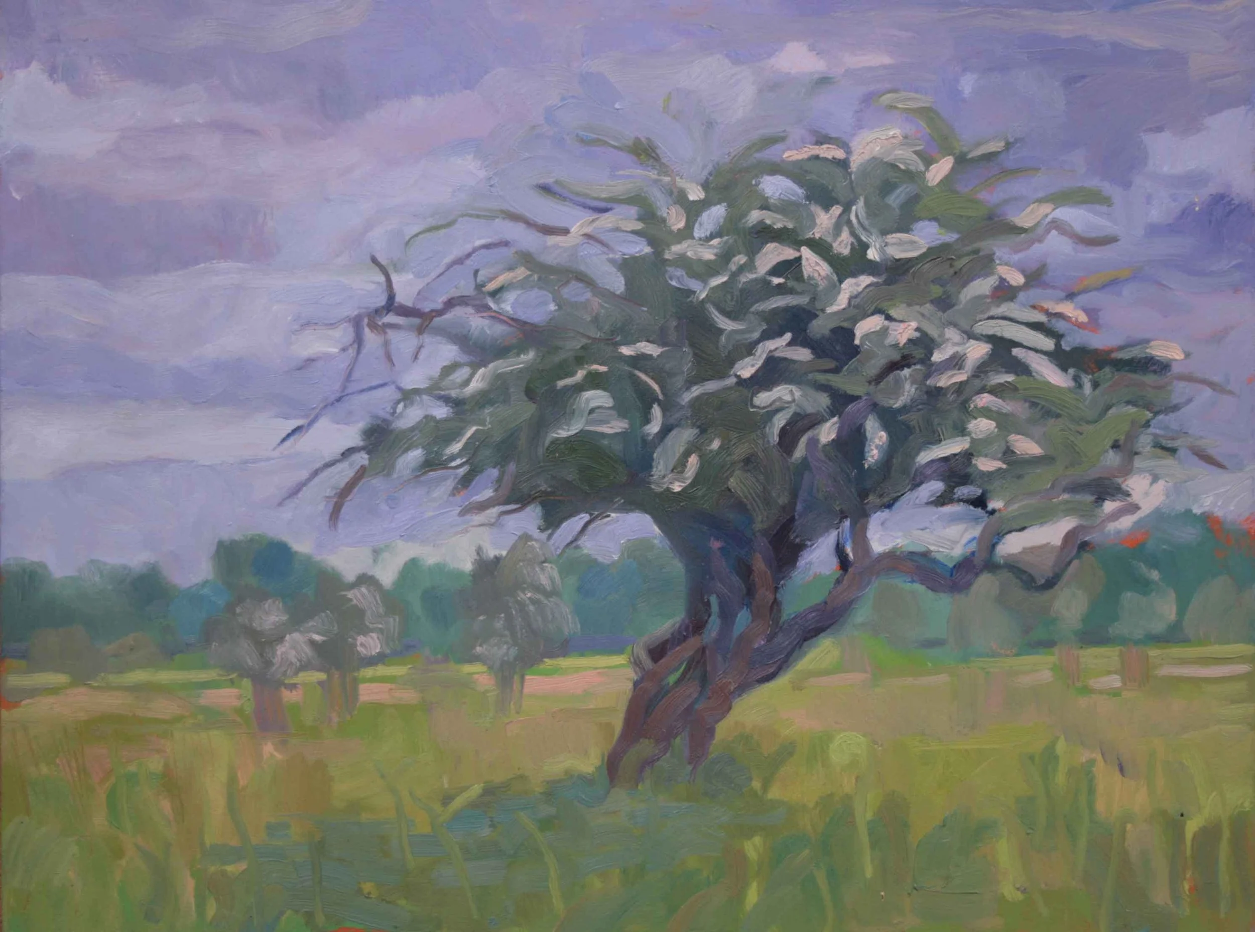 Leaning Thorn 230 x 300