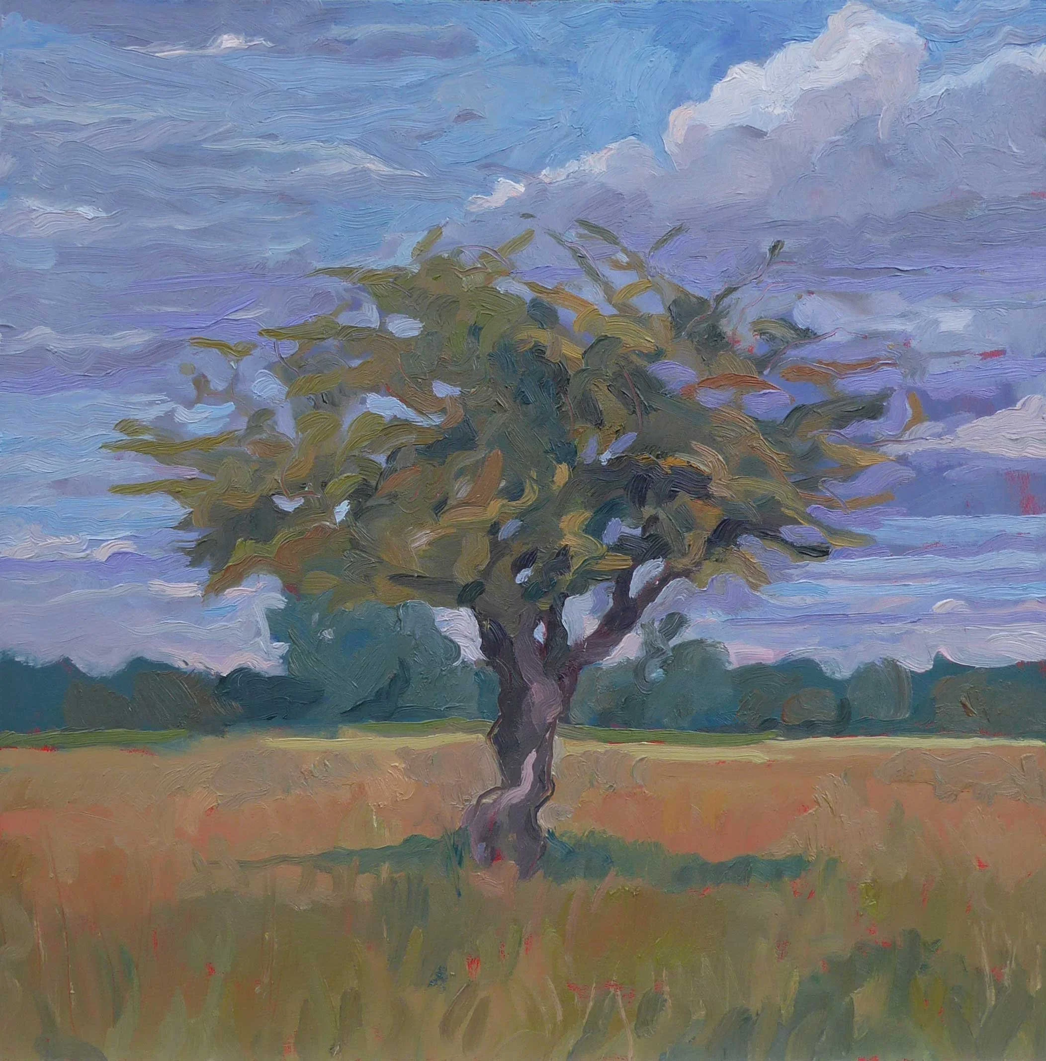 Hawthorn 300 x 300