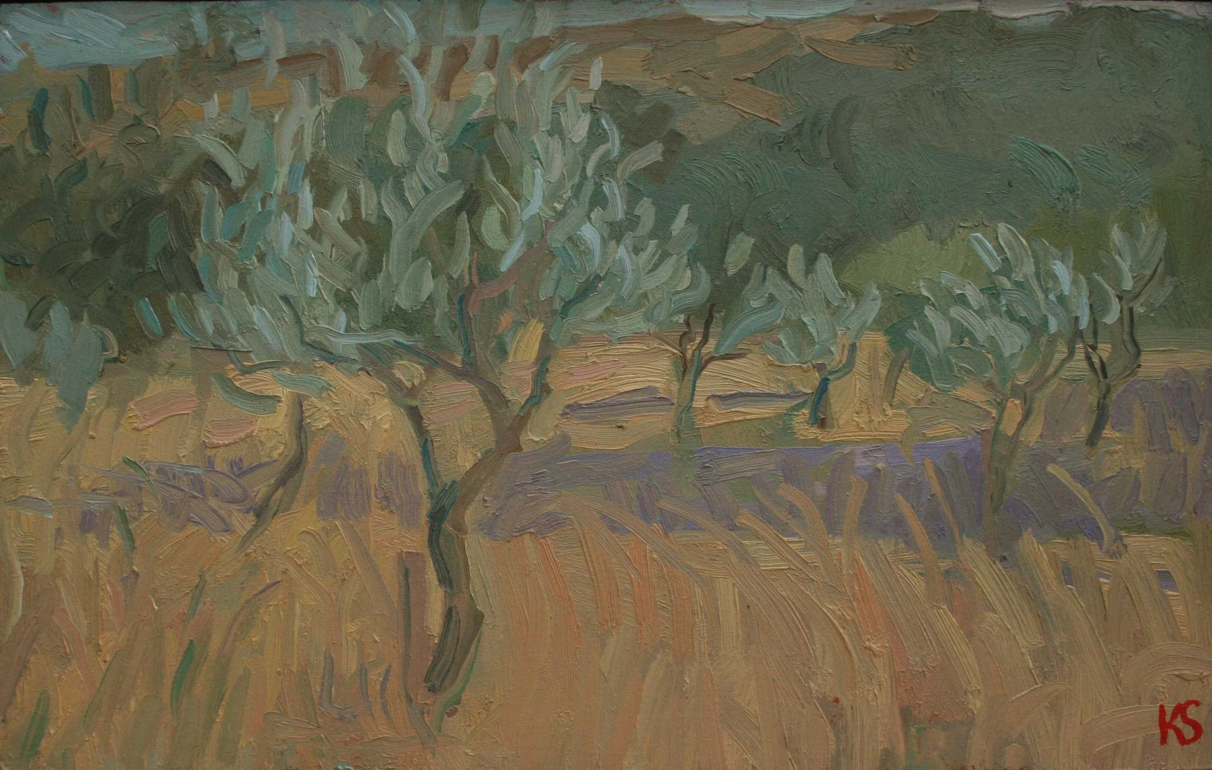 Olive Grove 190 x 300